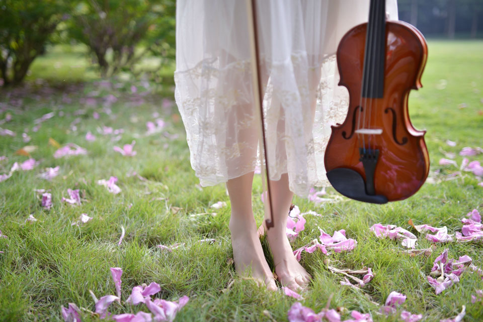 小提琴少女的花开花落5