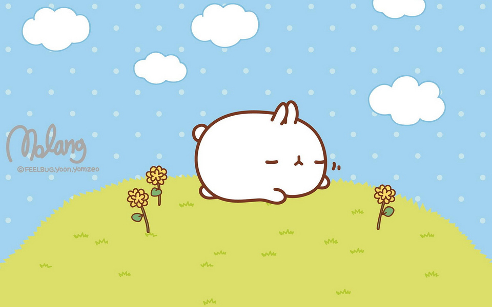韩国可爱白胖molang兔子动漫图片