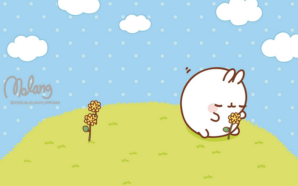 韩国可爱的Molang兔卡通漫画图片