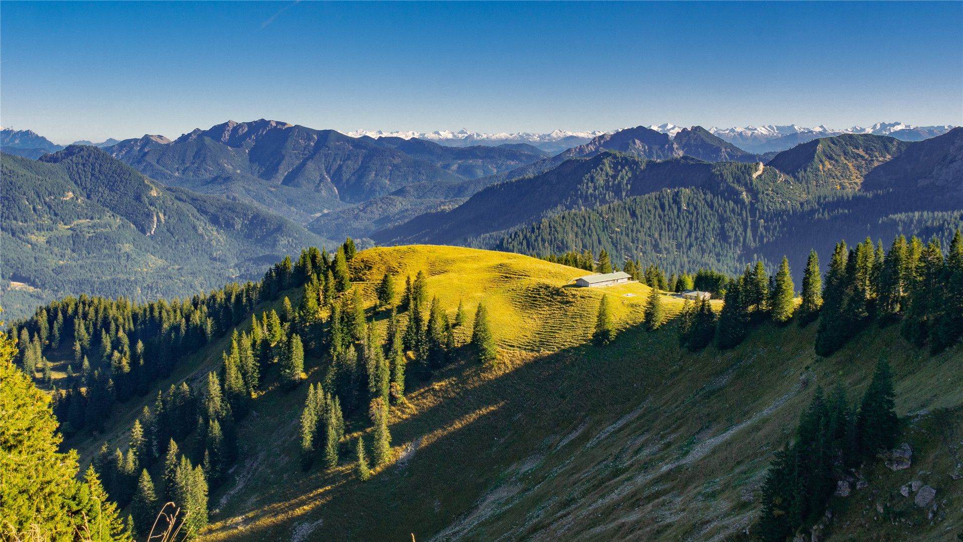 德国巴伐利亚风景雪山树林高清图片