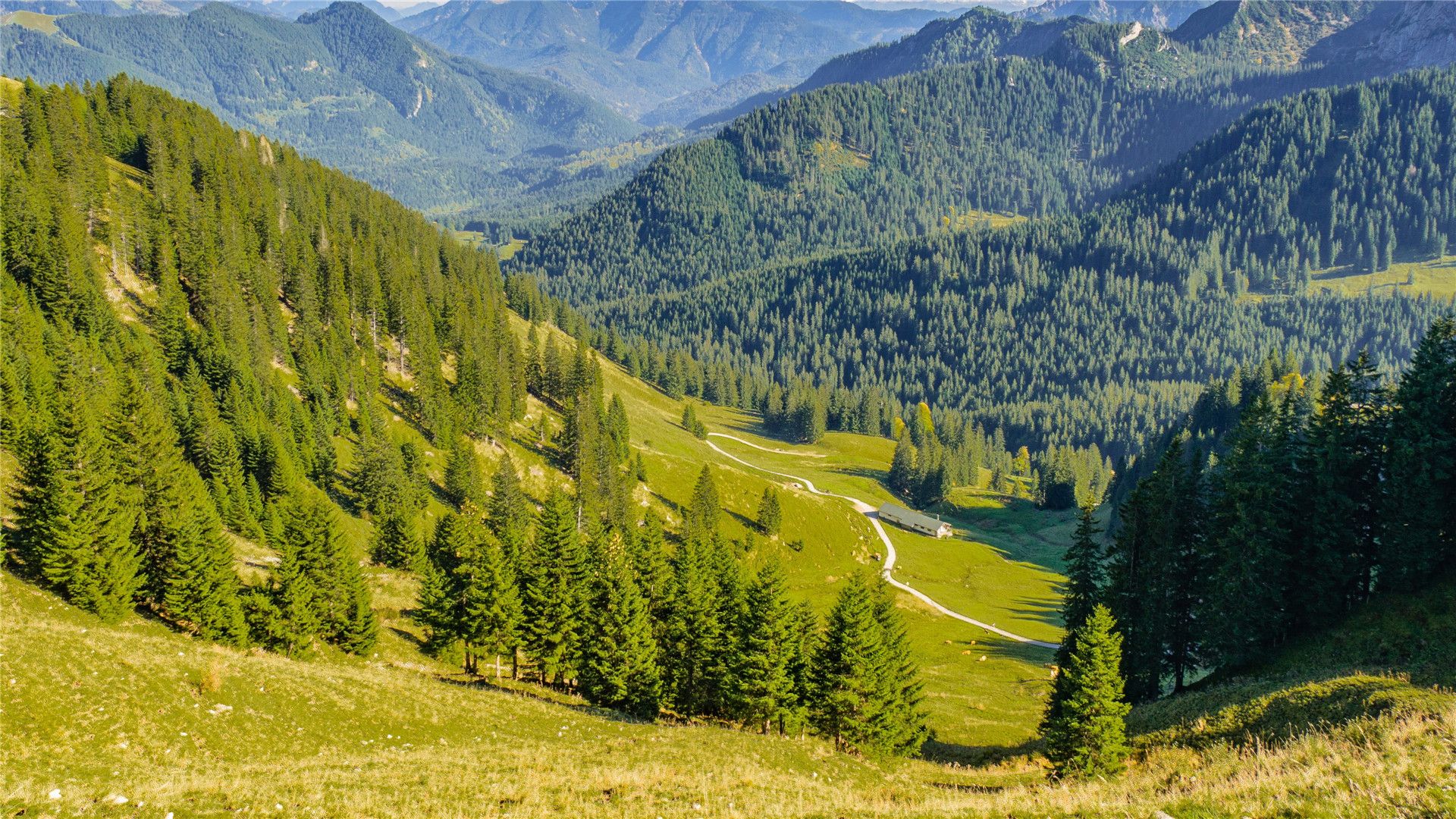 德国巴伐利亚风景雪山树林高清图片