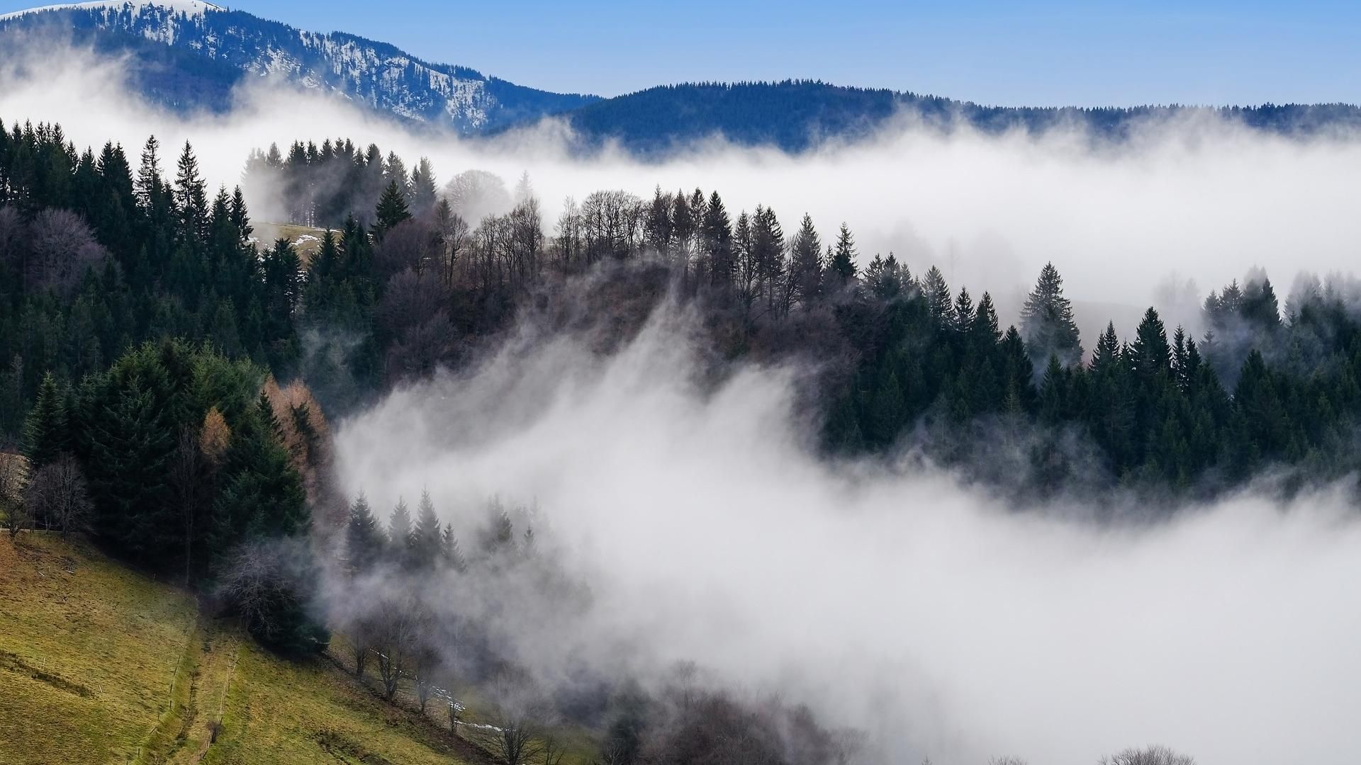 云海环绕的薄雾森林如仙境高清拍摄