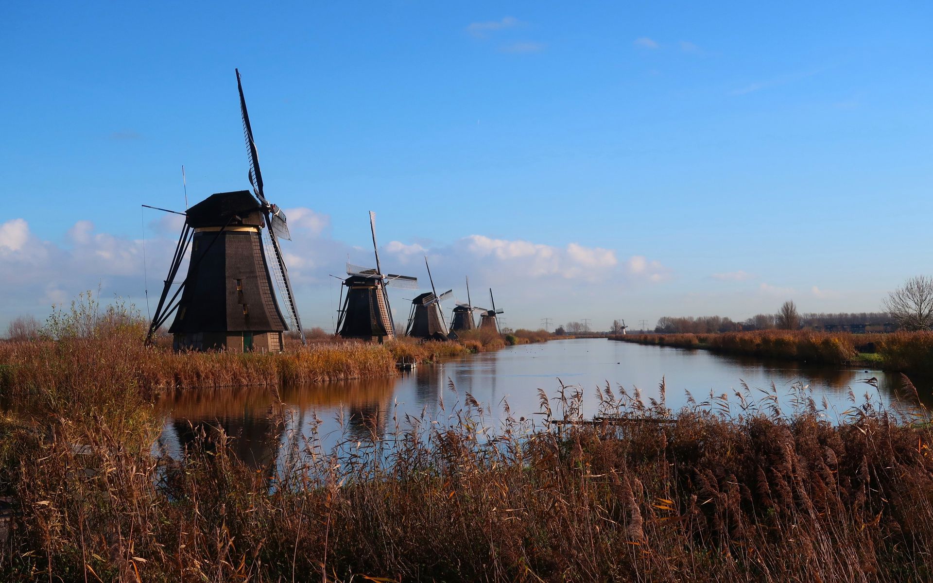 荷兰郊外蓝天白云风车建筑高清摄影