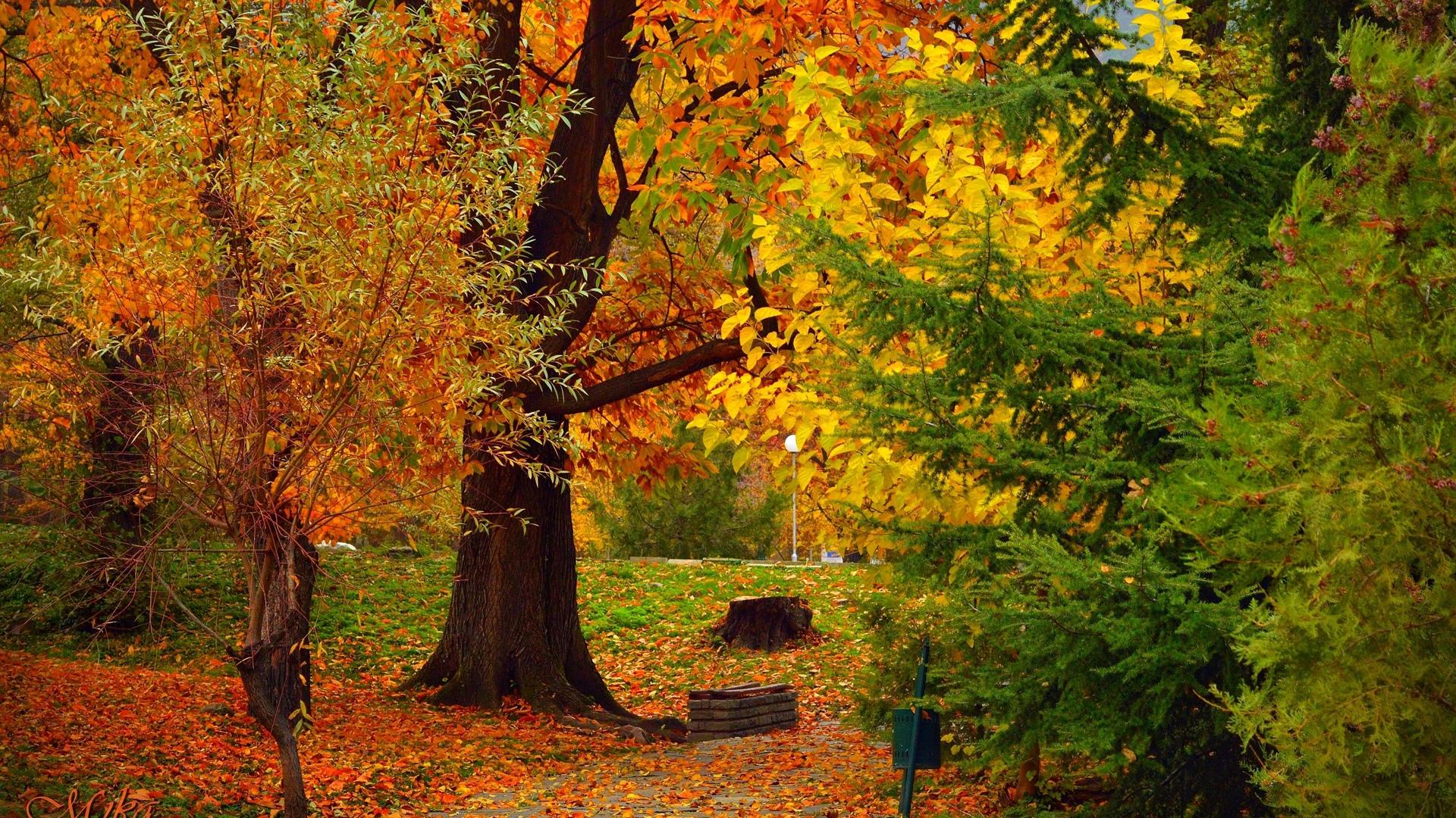 金秋九月每一寸土地都散发着浓浓的秋意美景图片