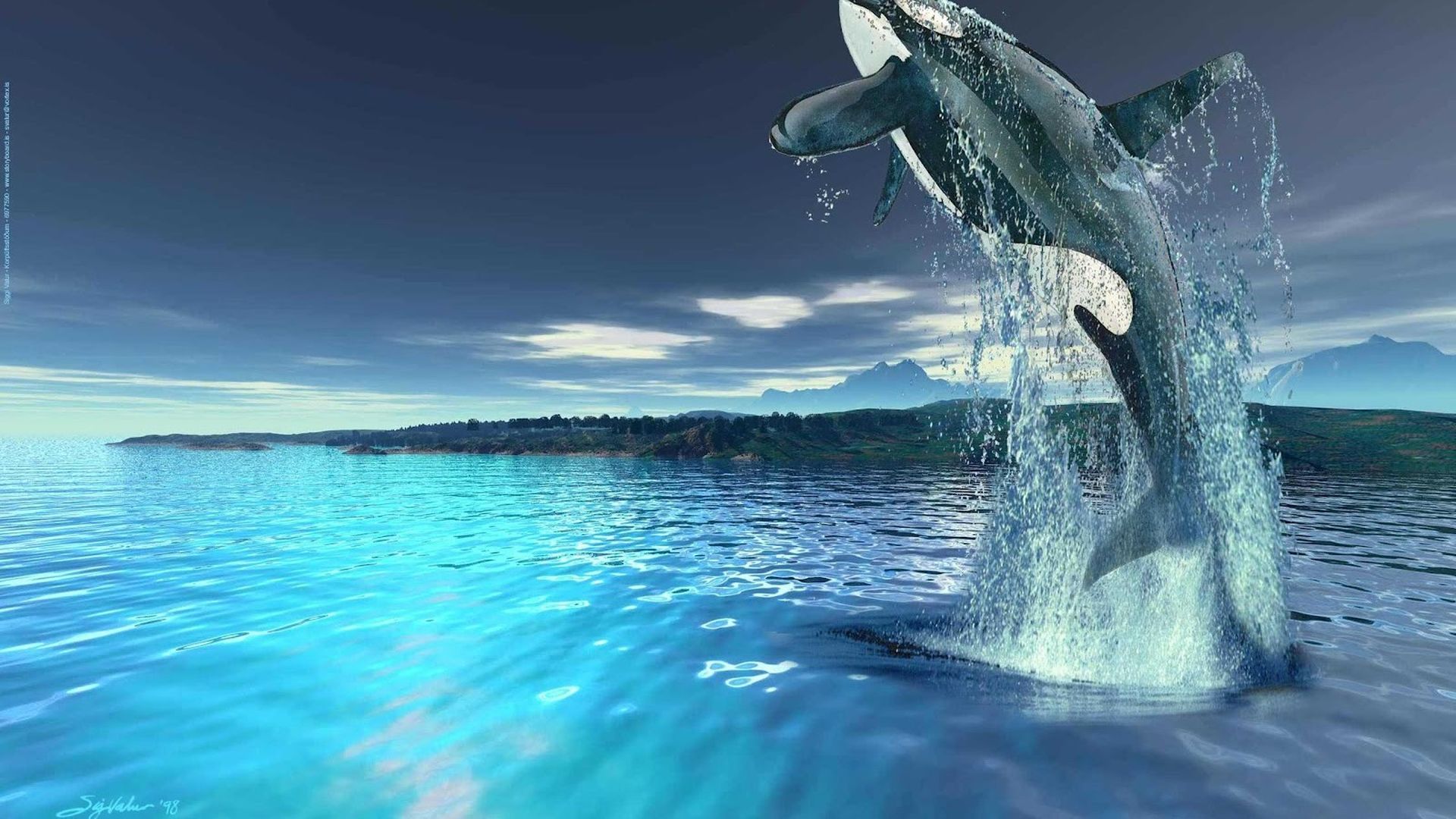 蓝色海洋各种大型鲸类图片桌面壁纸 12 亿图全景图库手机版