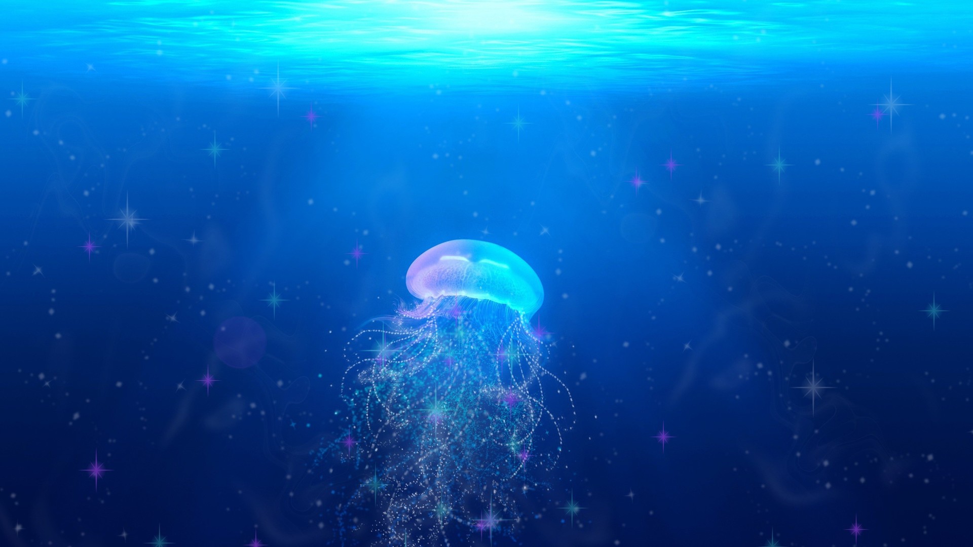 奇妙的大海浮游生物水母七彩颜色唯美壁纸