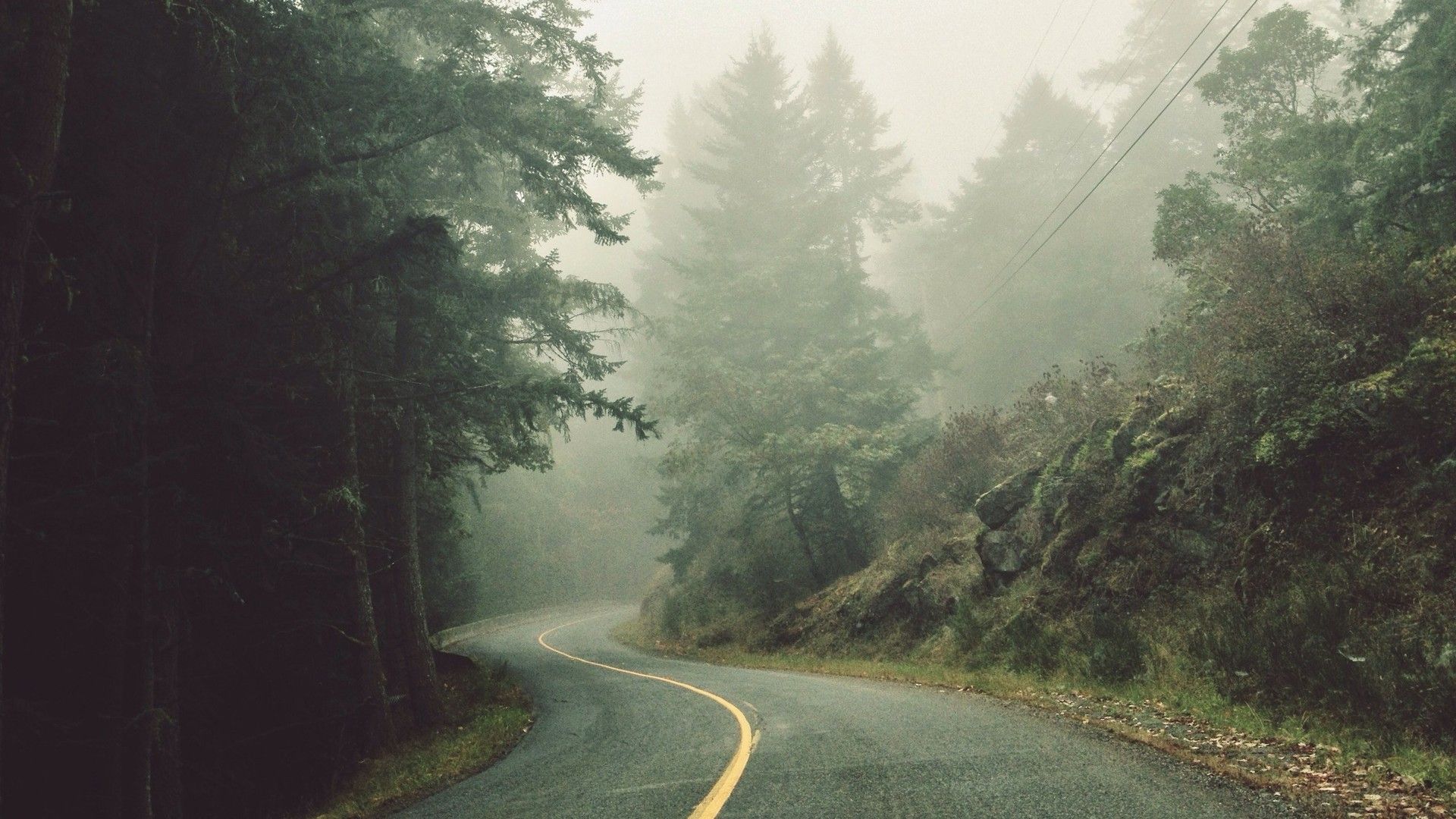 夜幕下白雾中的公路微湿路面绝美风光壁纸