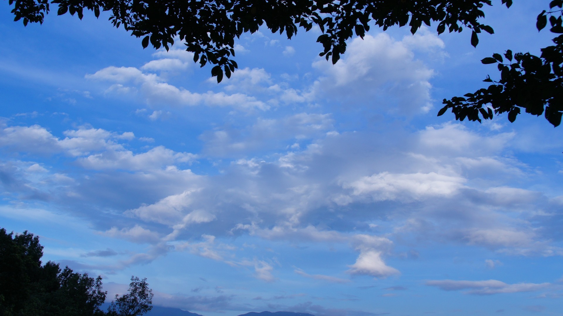 美丽的蓝天白云如鱼鳞一样唯美风景图片壁纸
