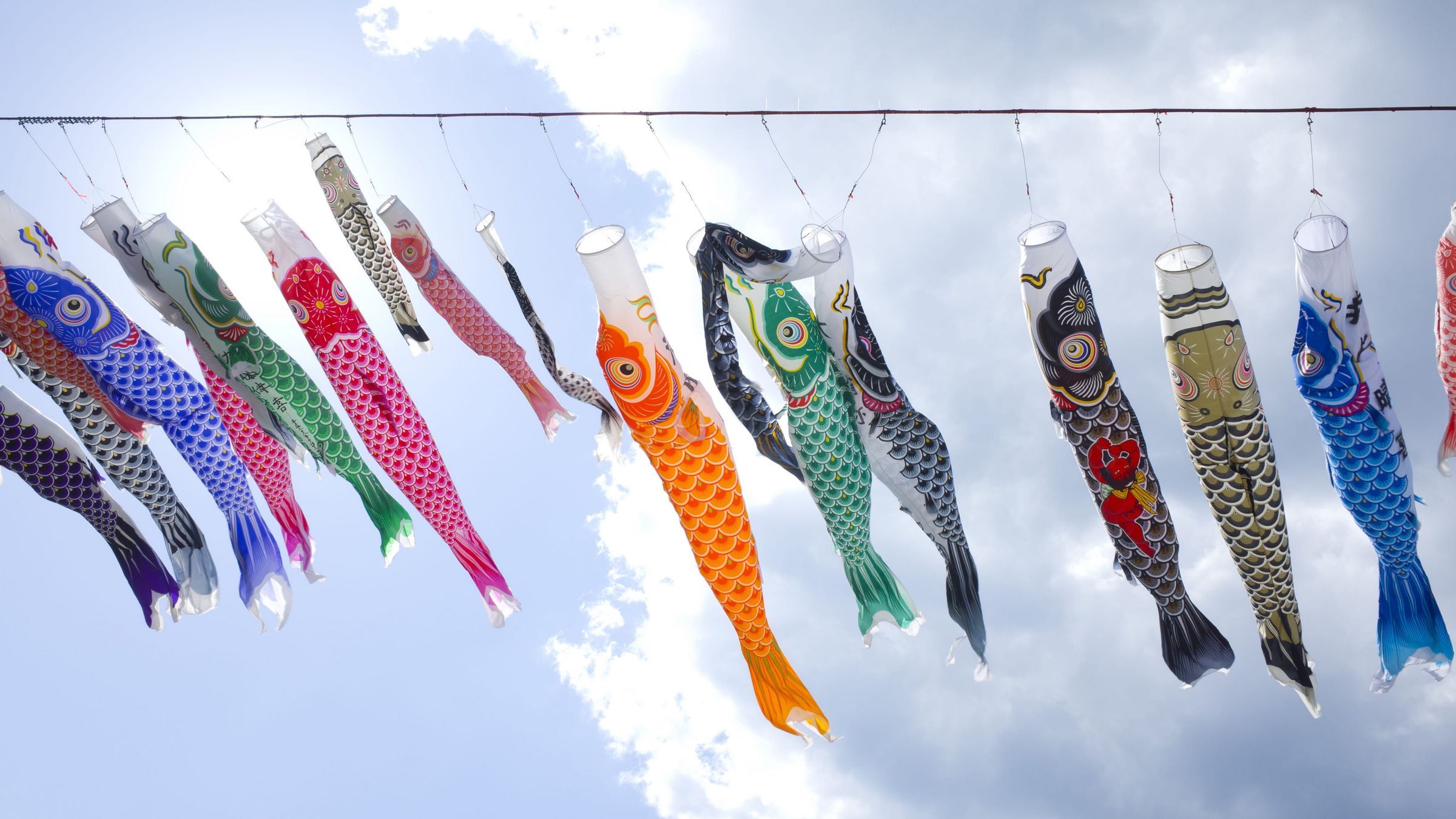 江户时代的日本鲤鱼旗唯美风景桌面大图