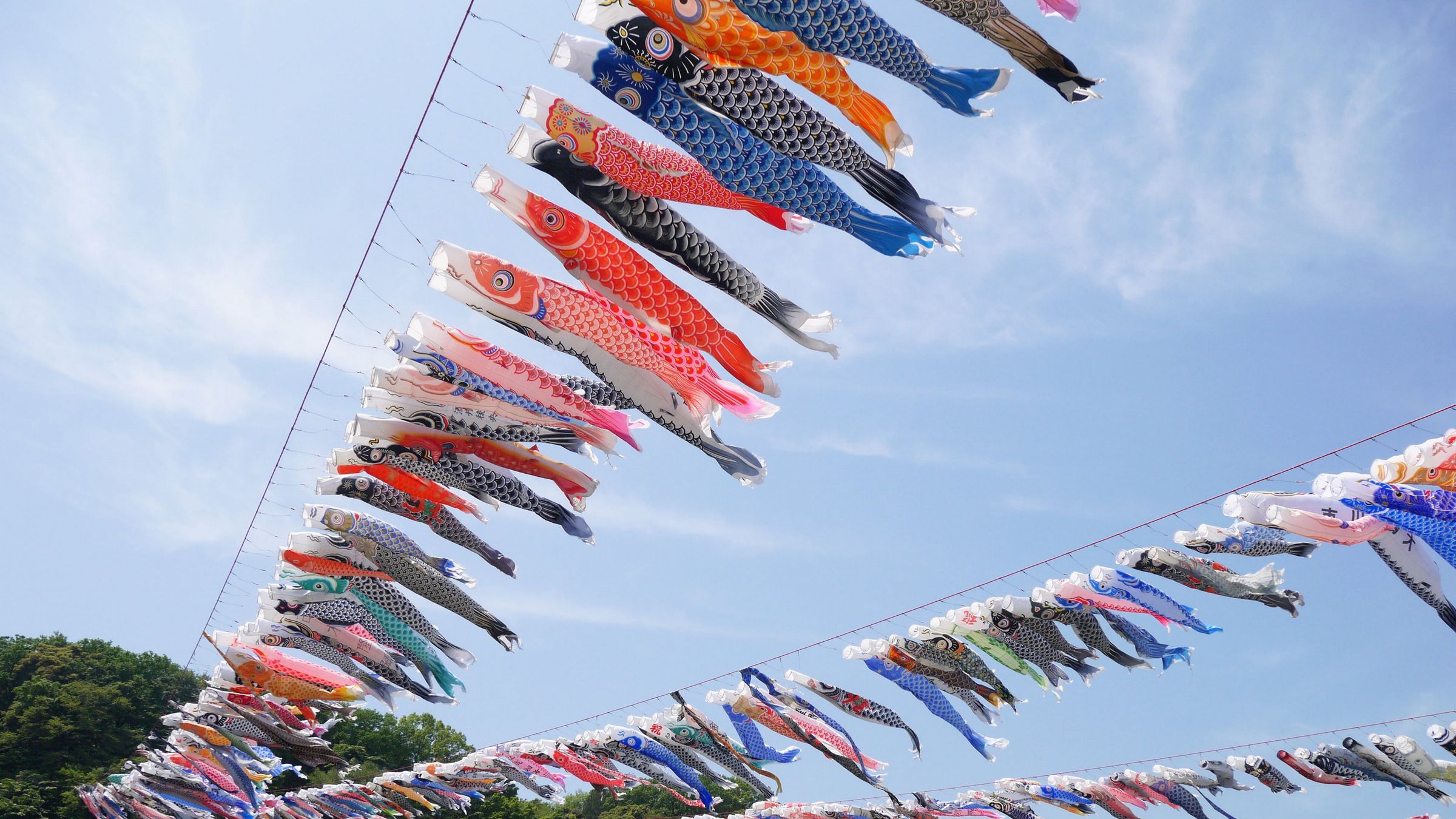 江户时代的日本鲤鱼旗唯美风景桌面大图