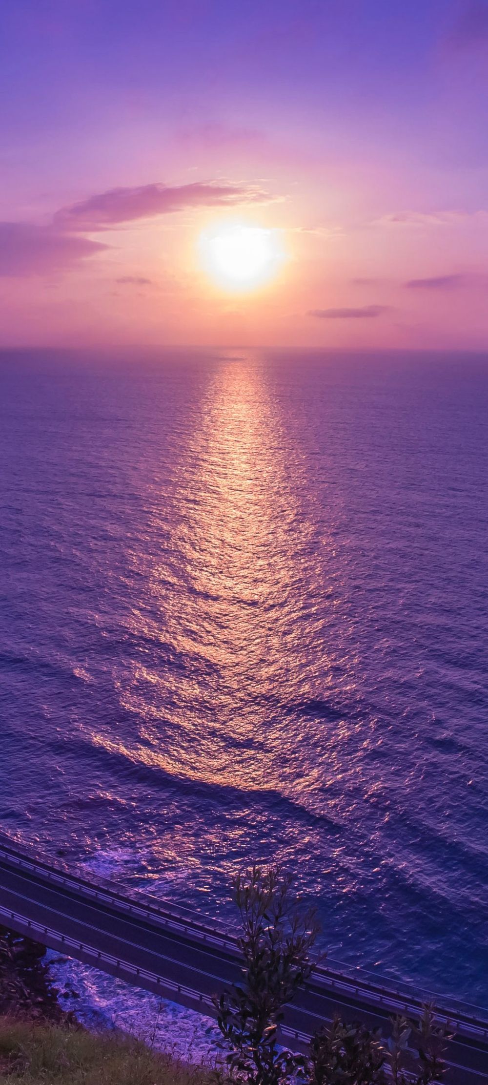 大海海岸边金色夕阳