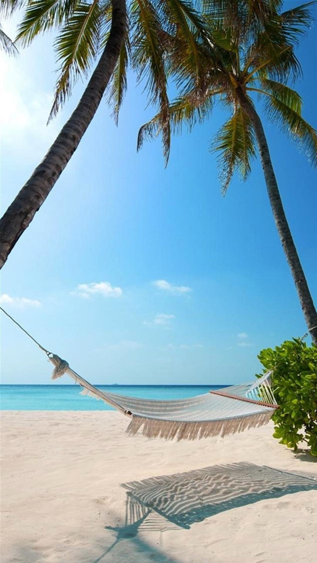 海边沙滩椰子树下的吊床与清透蓝天相遇