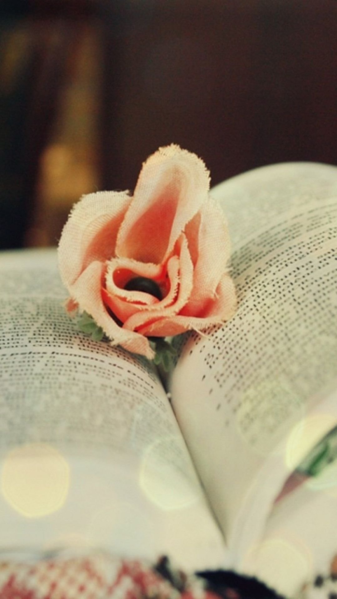 书本里的粉色玫瑰折花