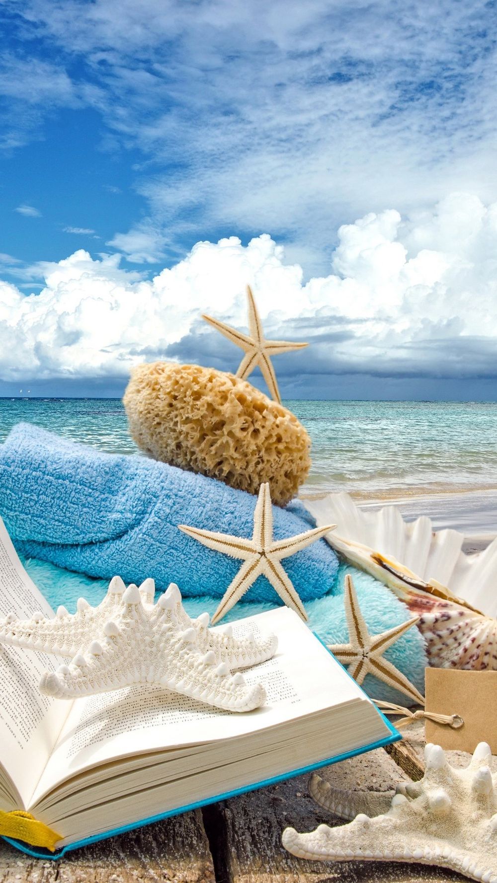 夏日沙滩搭配海星与贝壳