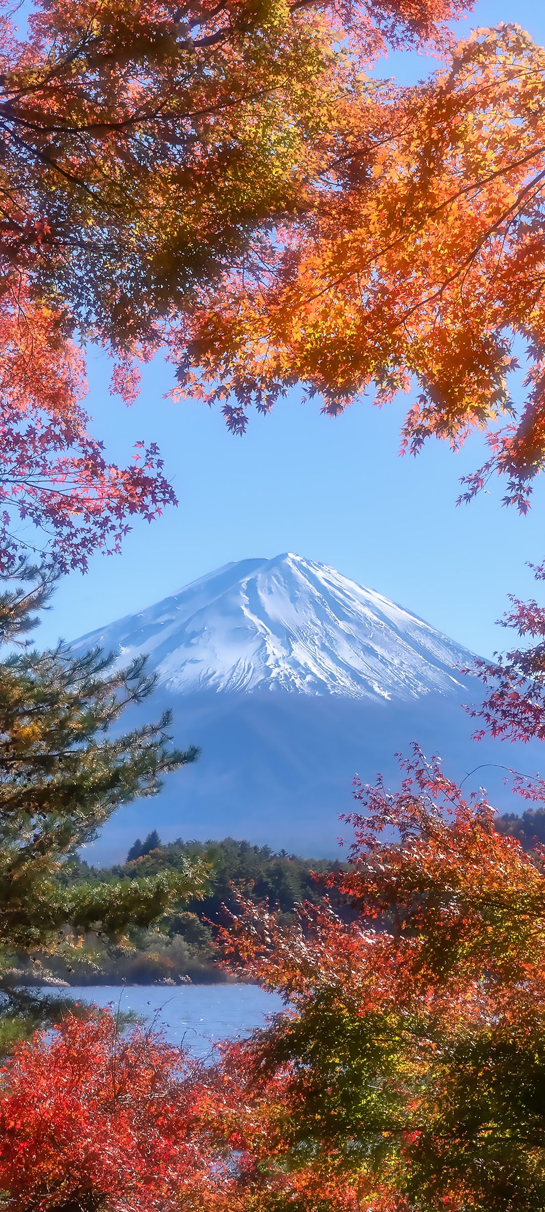 白雪覆盖的富士山绝色风景手机壁纸