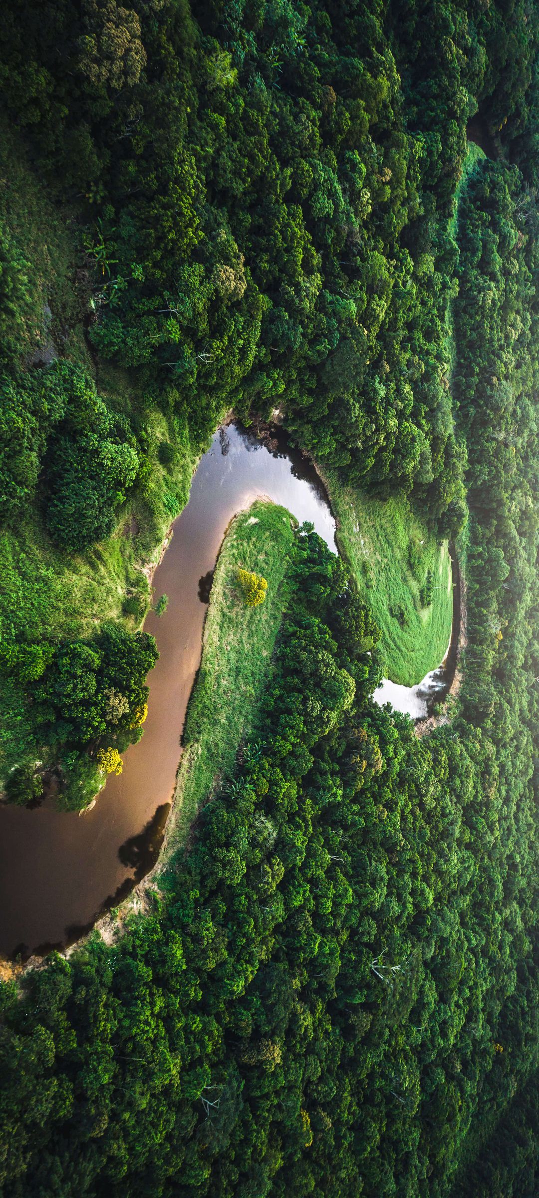 雨林丛中一条弯弯的河流