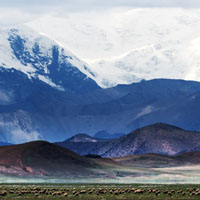 西藏最漂亮的风景头像