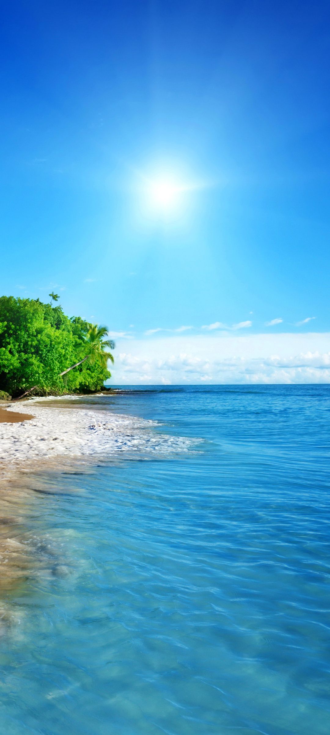 大海的海滩边椰子树与洁白海浪
