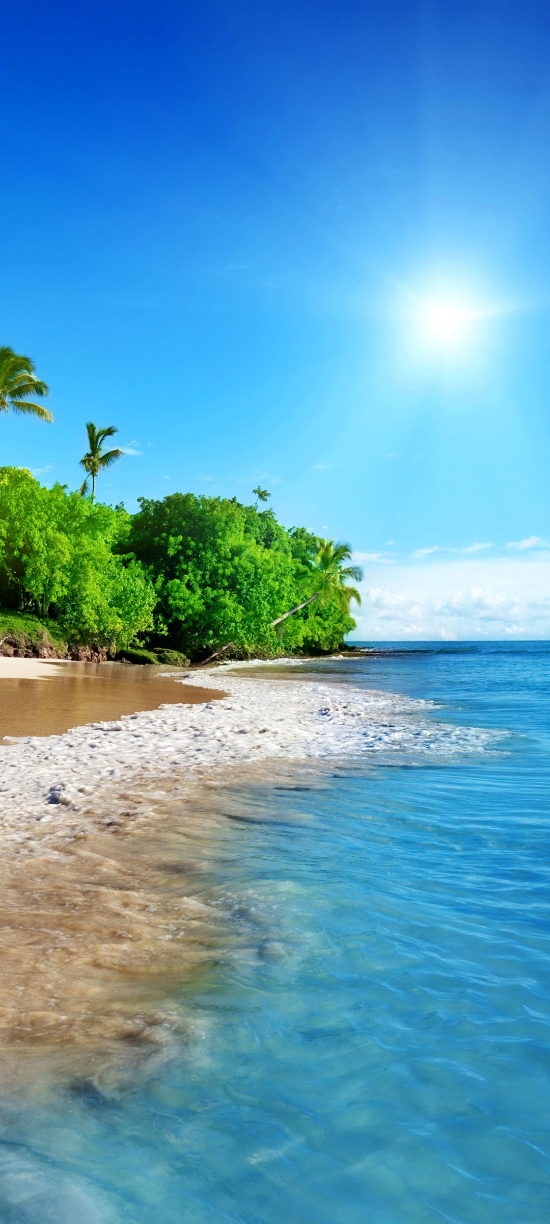 大海的海滩边椰子树与洁白海浪