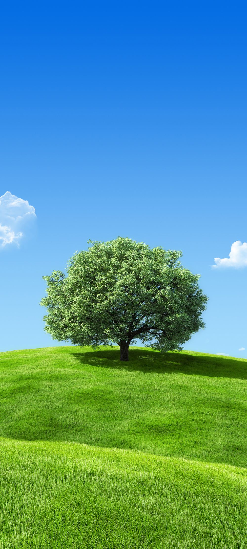 蓝天白云绿色草地上的一棵大树秀丽风景手机壁纸