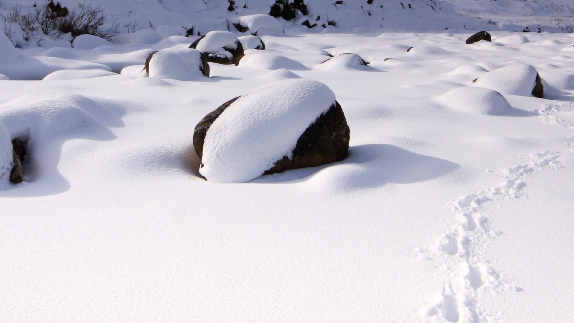 好看的冬季雪景白茫茫一片绝色风光高清桌面壁纸