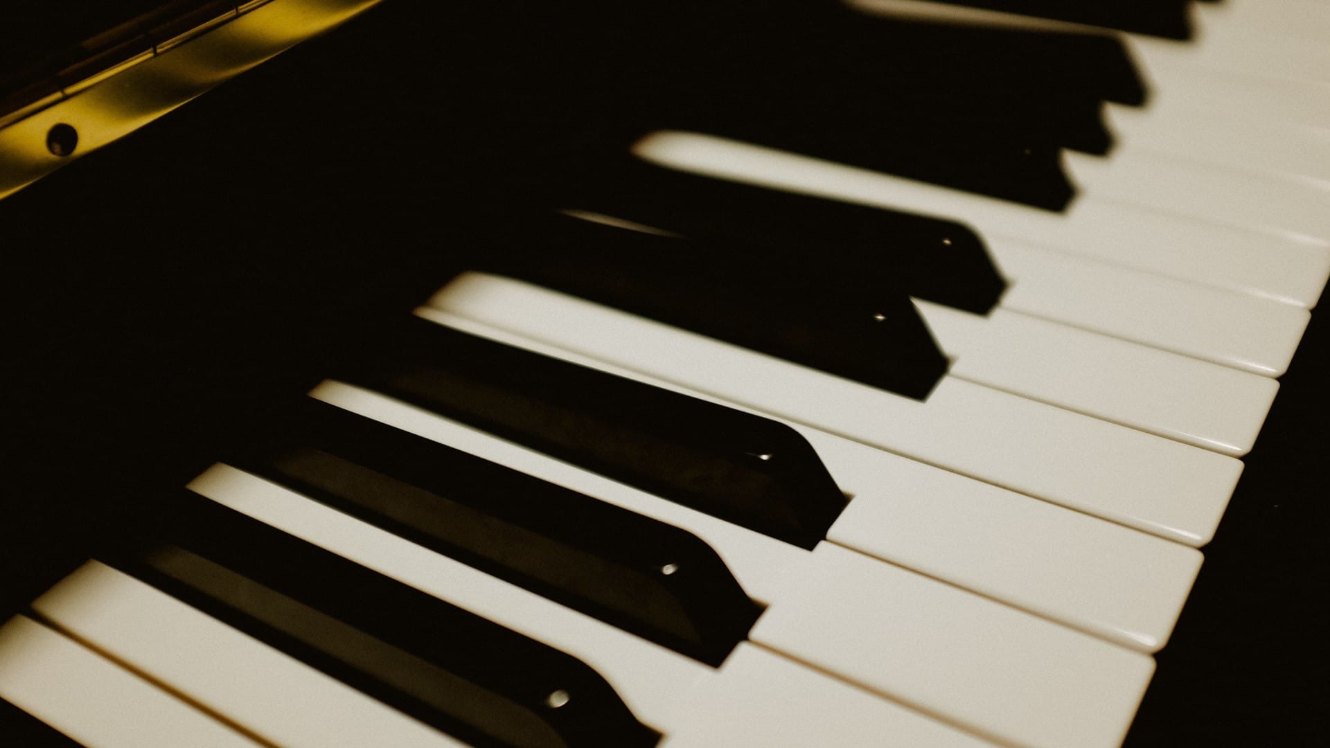 黑白琴键与各式各样乐器素材唯美风格桌面壁纸