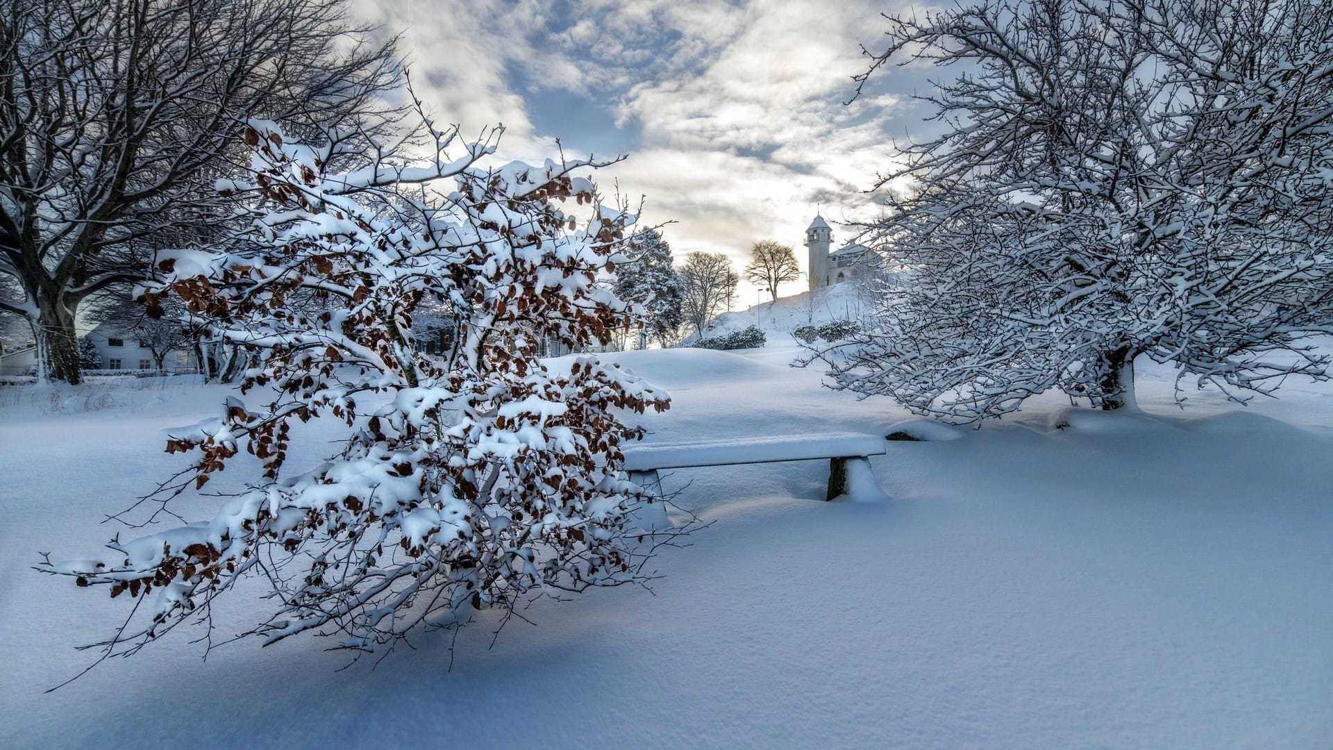 好看的冬季最美雪景白茫茫一片绝色风光桌面壁纸
