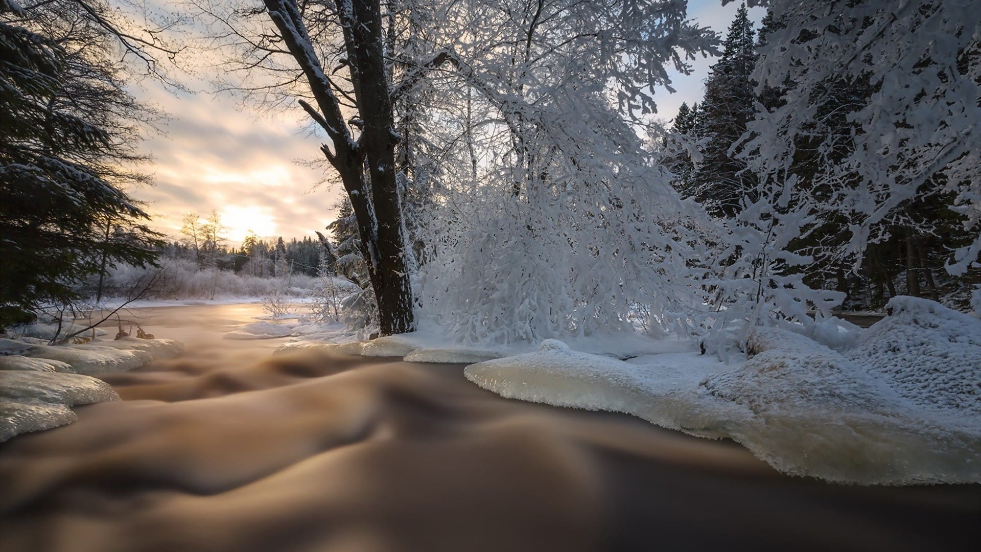 美丽冬季冰天雪地的树林风光雪景绝美桌面壁纸