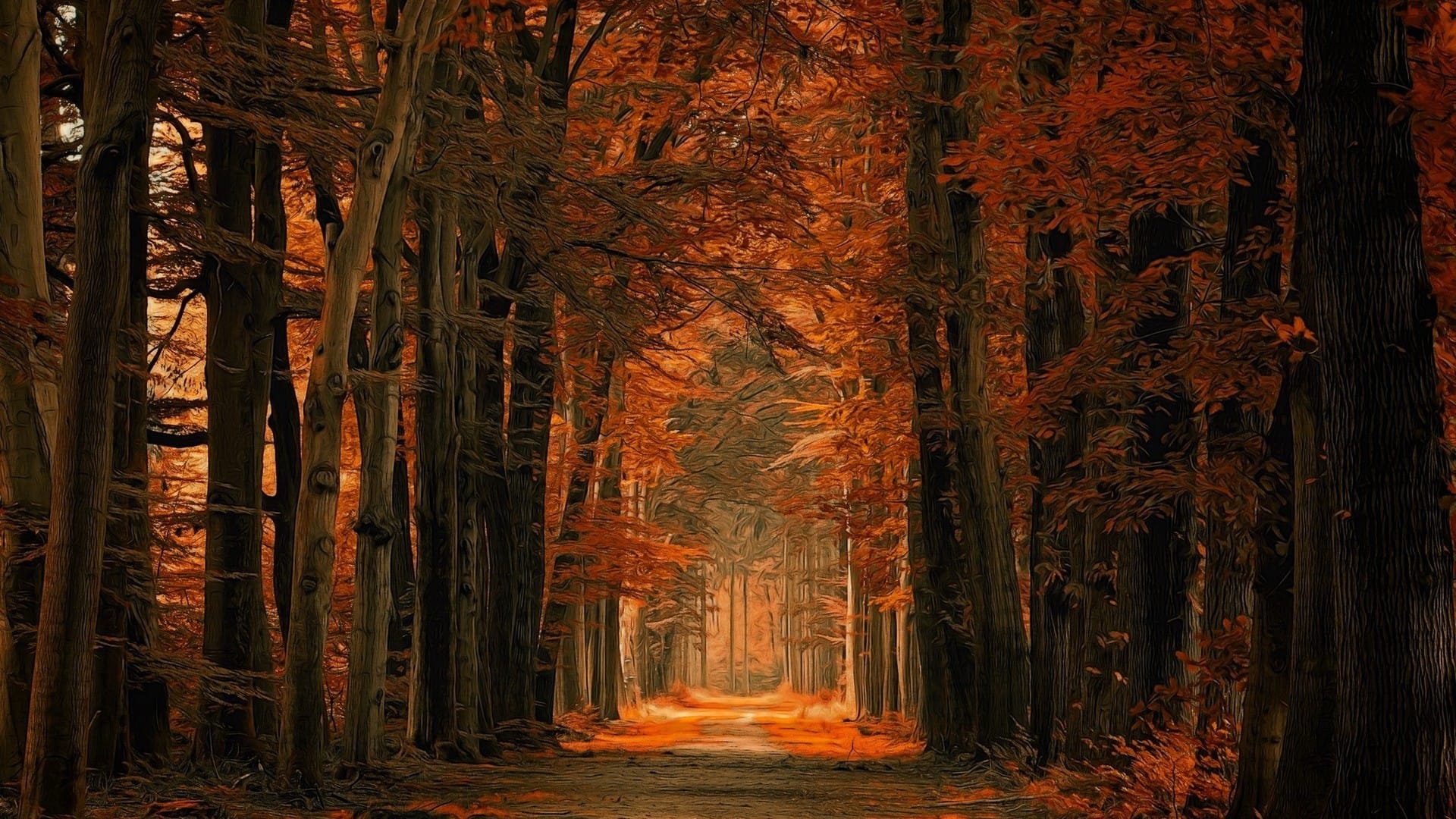 树林里的林间小路唯美风格高清图片桌面壁纸