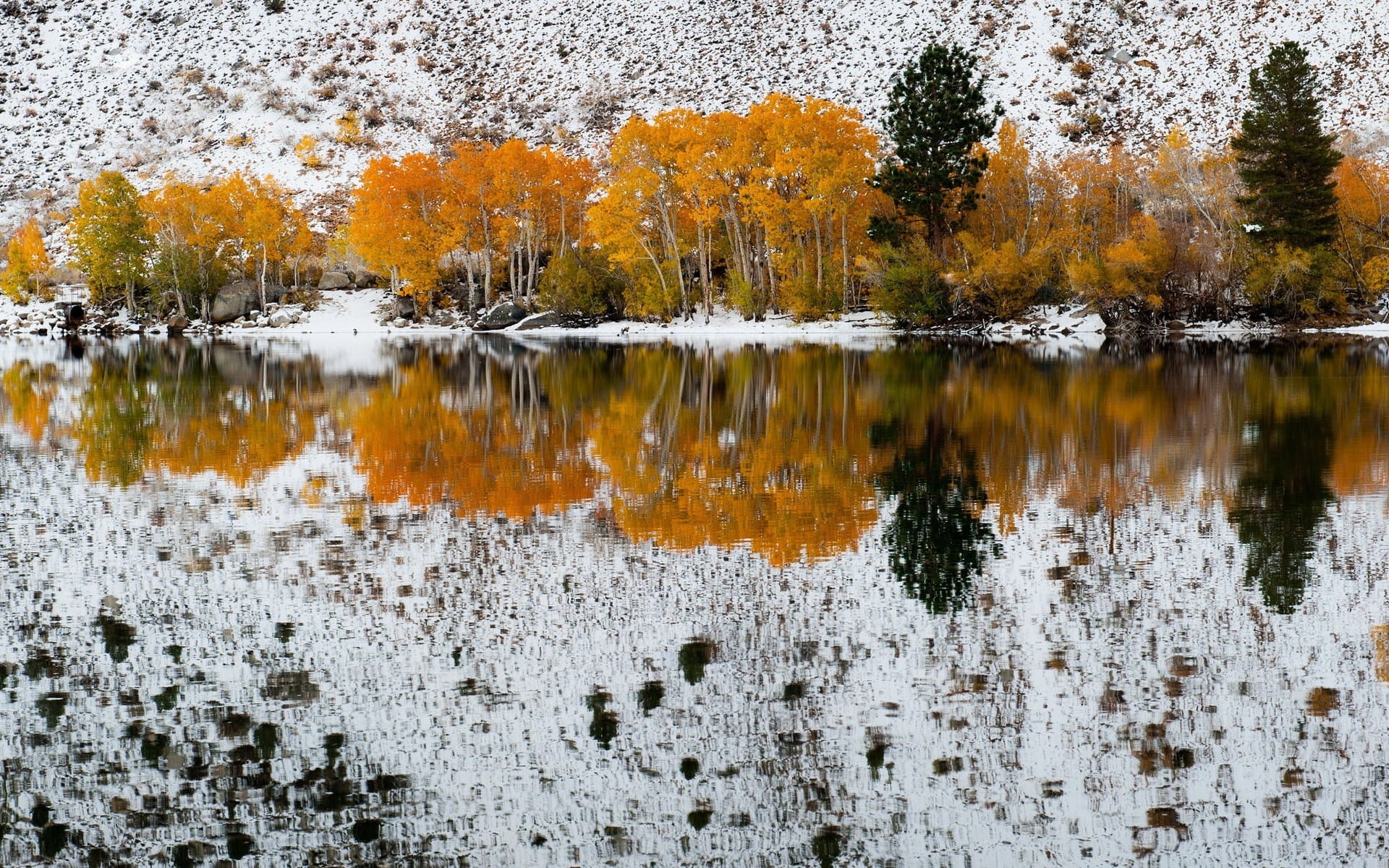 四季分明的大自然湖泊水中倒影图片壁纸
