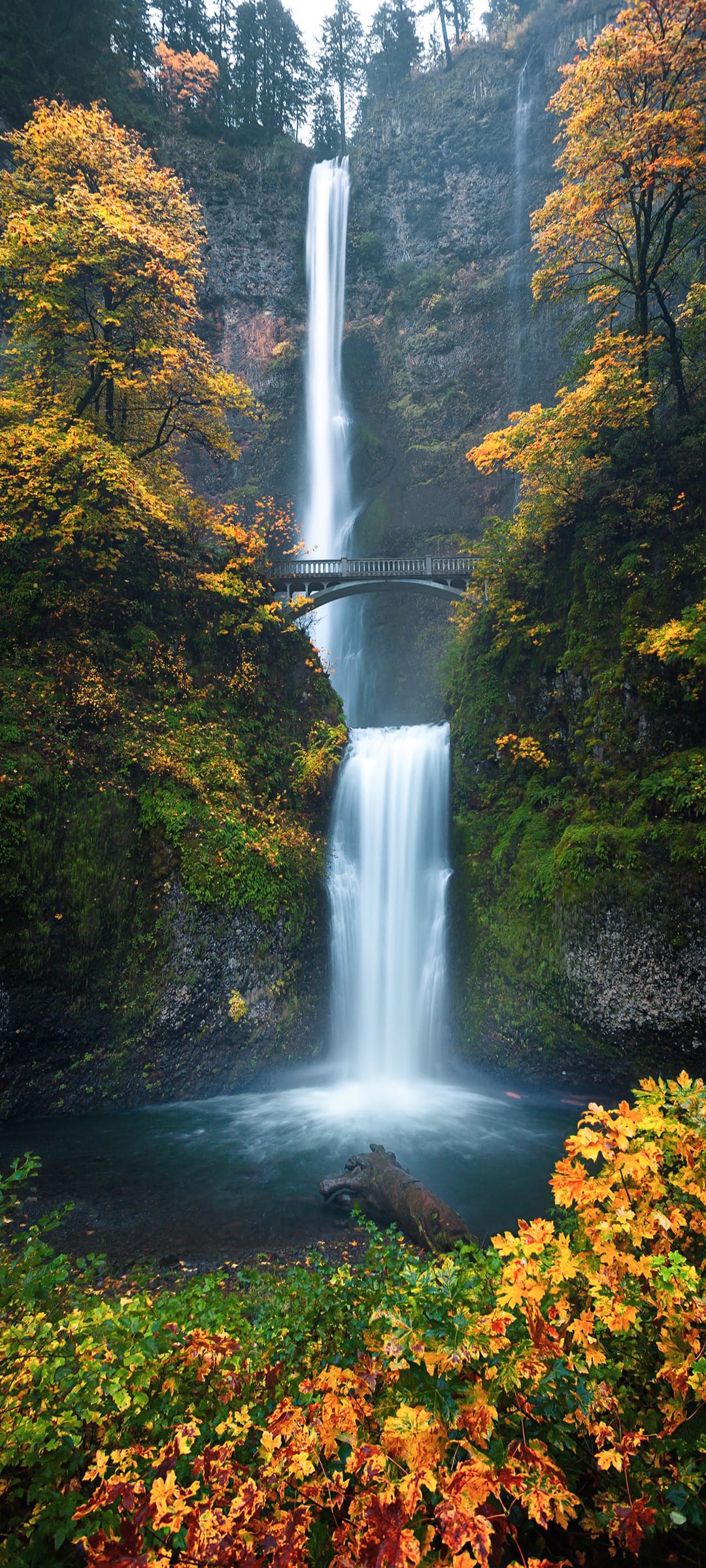 秋天来临山间瀑布+桥自然风景手机桌面壁纸