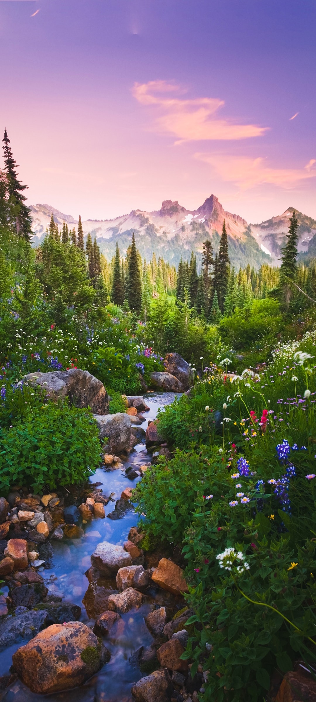 山间小溪流水旁零散野花组成美丽风景手机壁纸