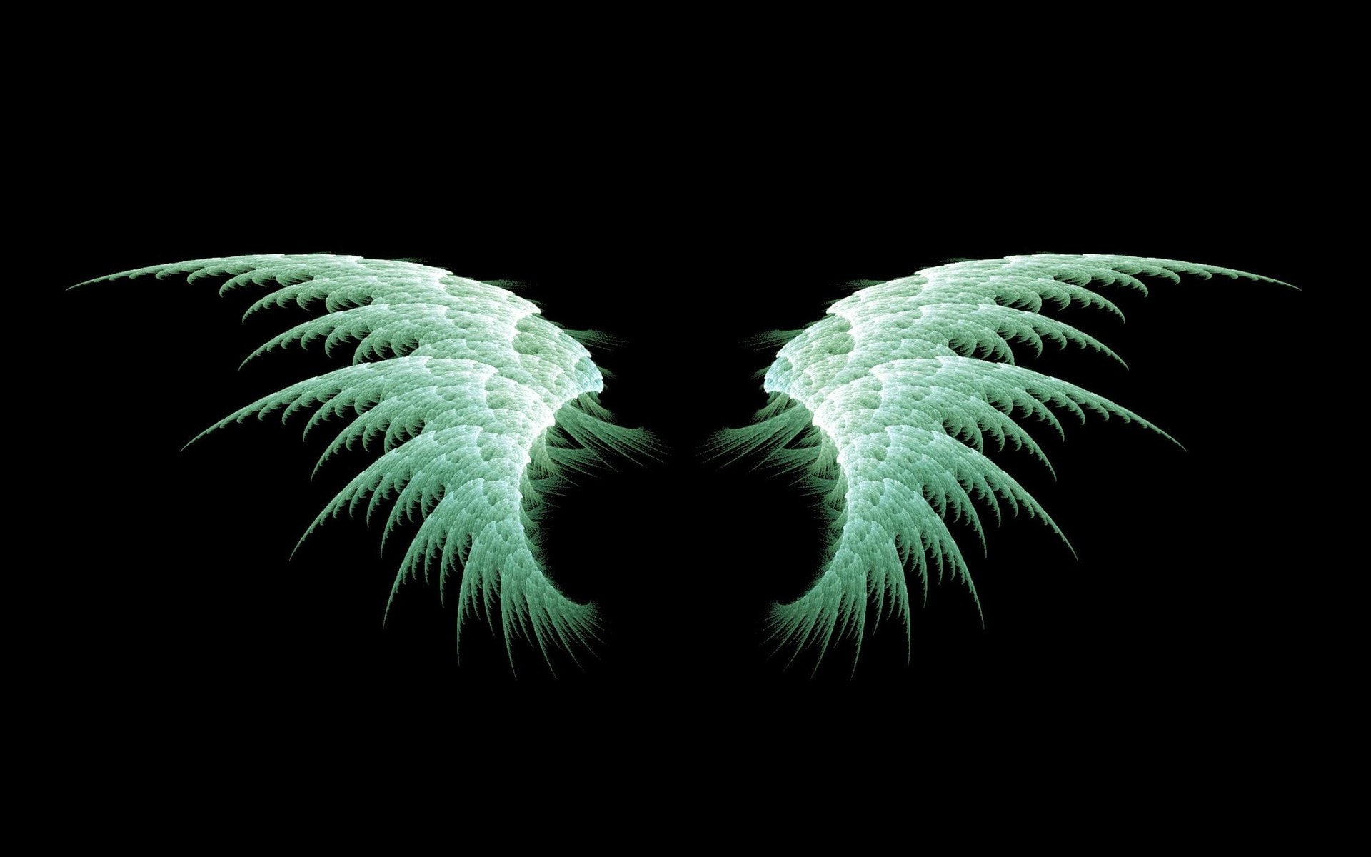 天使的翅膀高清图片