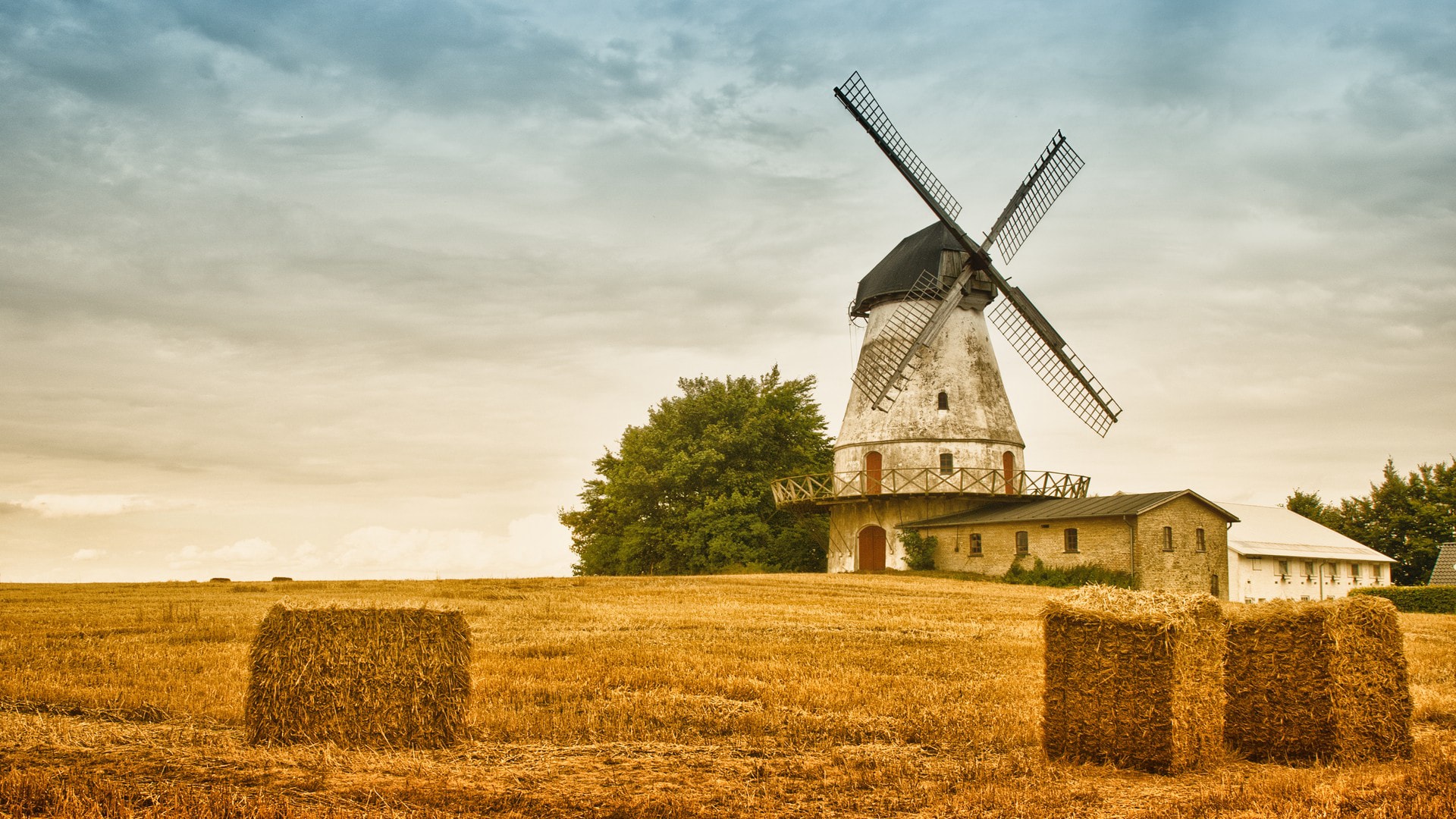 荷兰专属文化标志荷兰风车