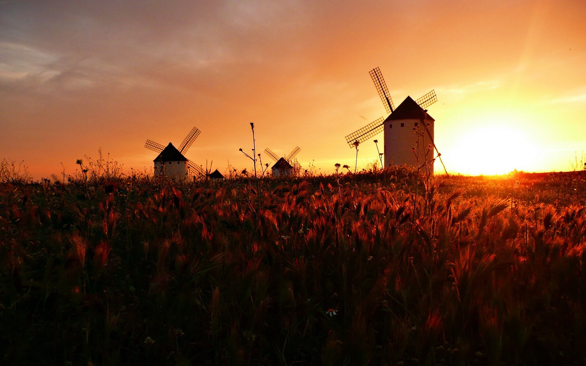 荷兰专属文化标志荷兰风车