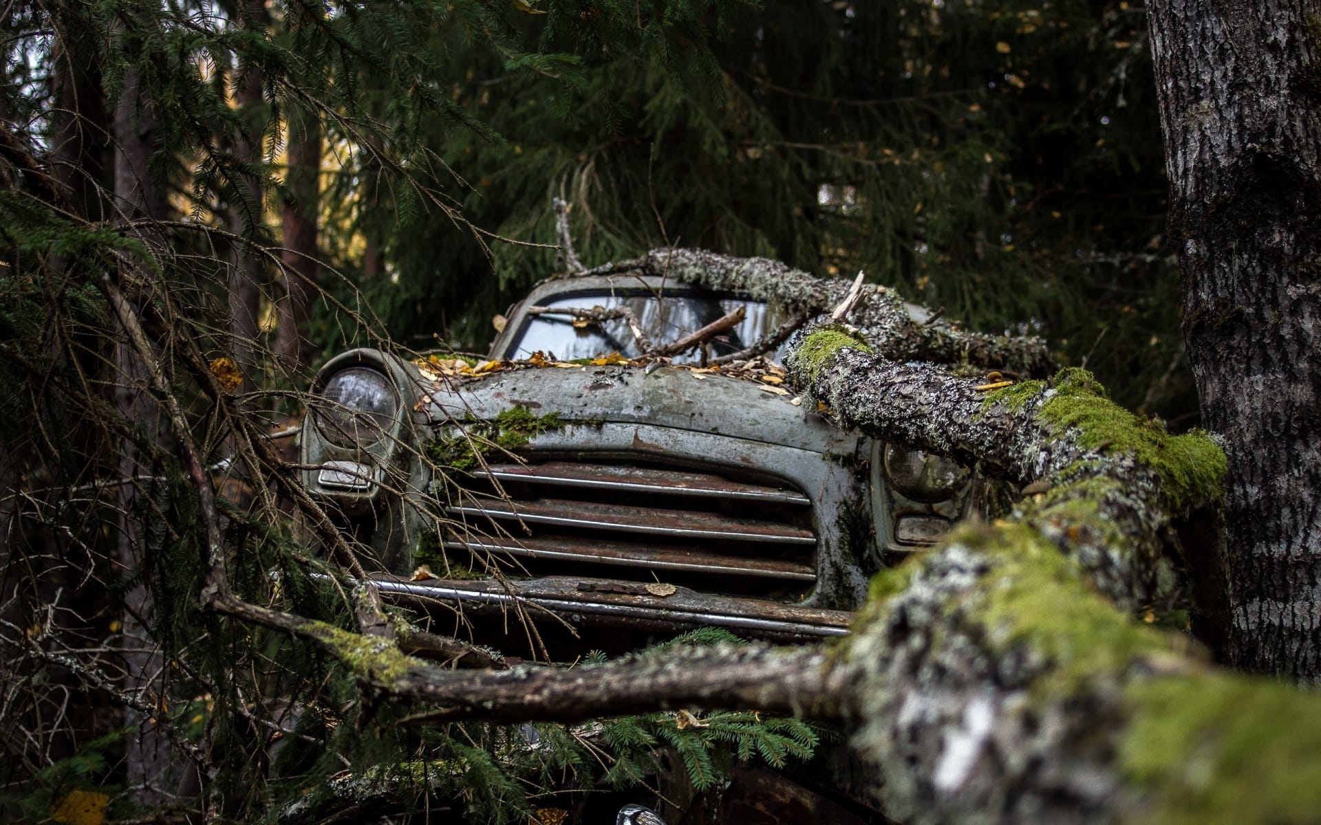 停放在树林中的报废汽车