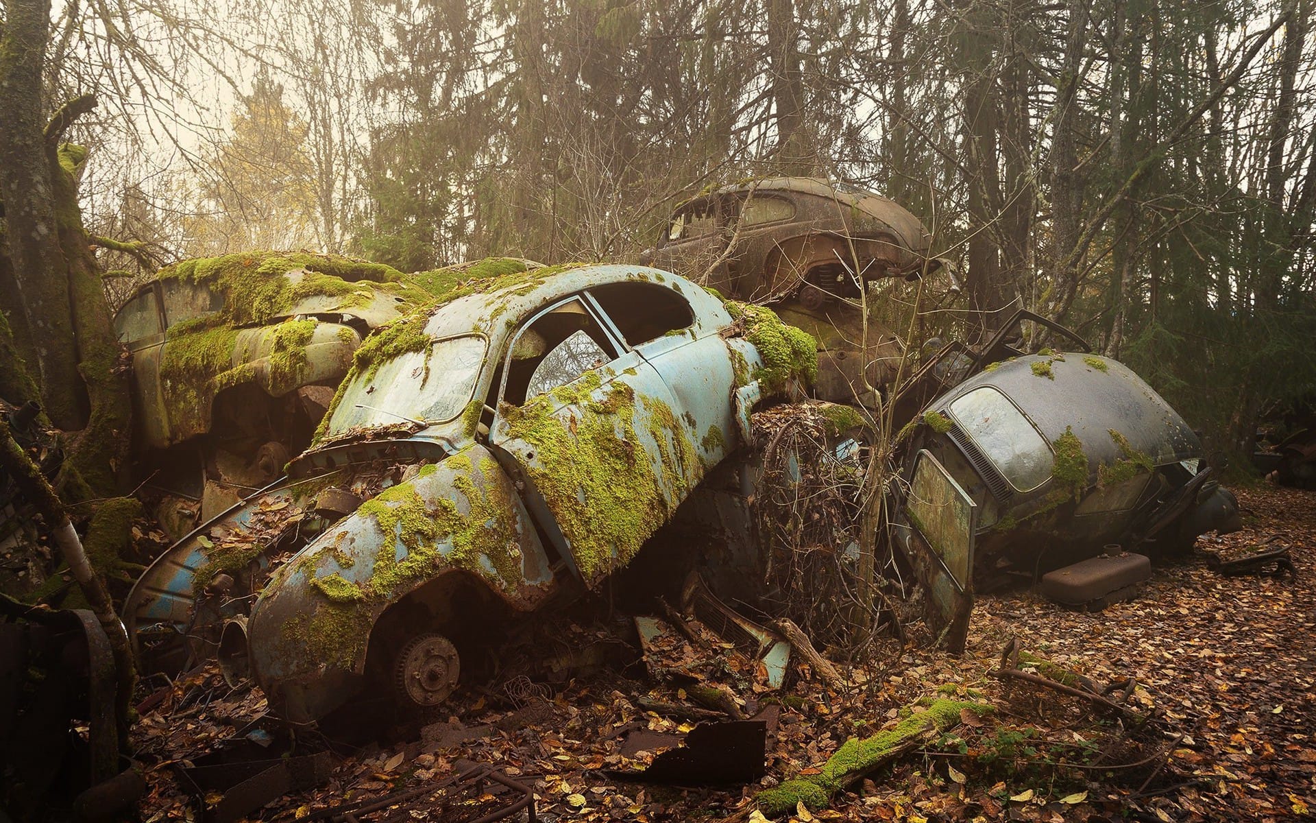 树林丛中停放的报废汽车