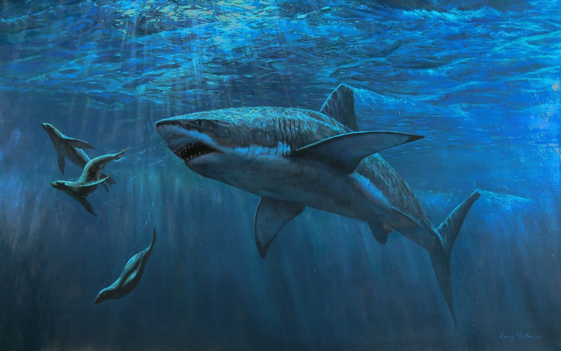 大海深处食物链顶端张大嘴巴的大鲨鱼