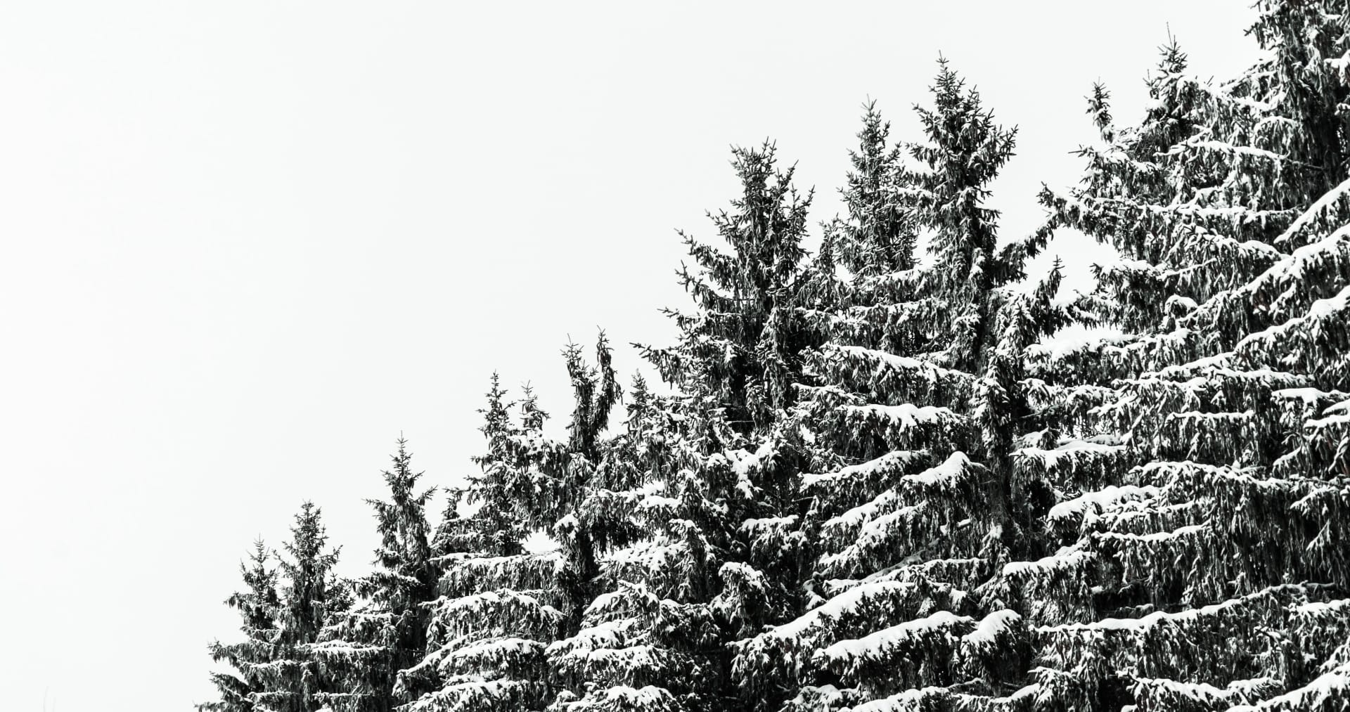 银装素裹下的冬季雪景
