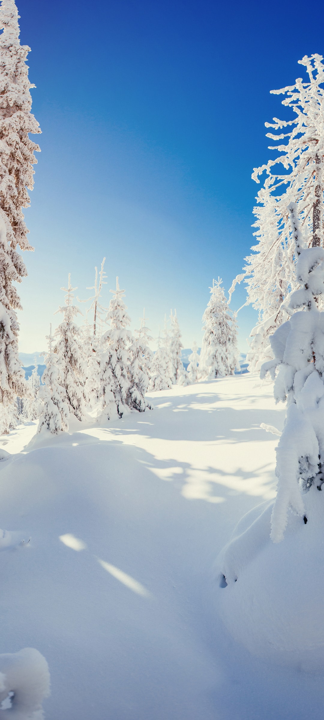 冬季大雪覆盖树林冰天雪地绝美雪景
