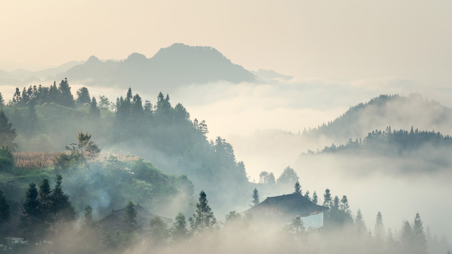 早上的山村云雾缭绕感受最美的清晨