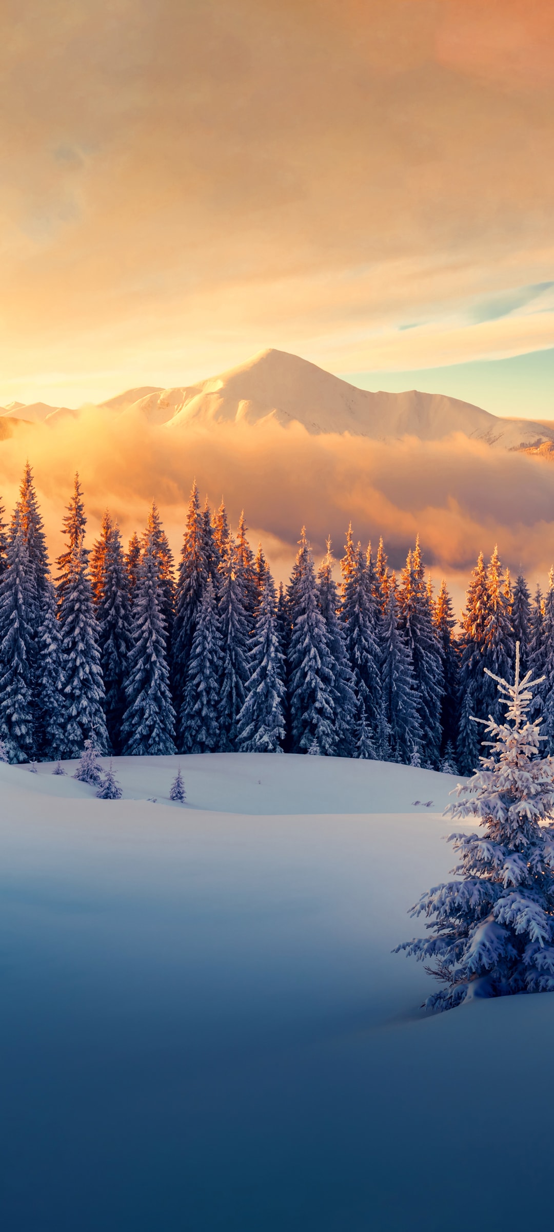 冬天远处群山与山脚树林雪地风景