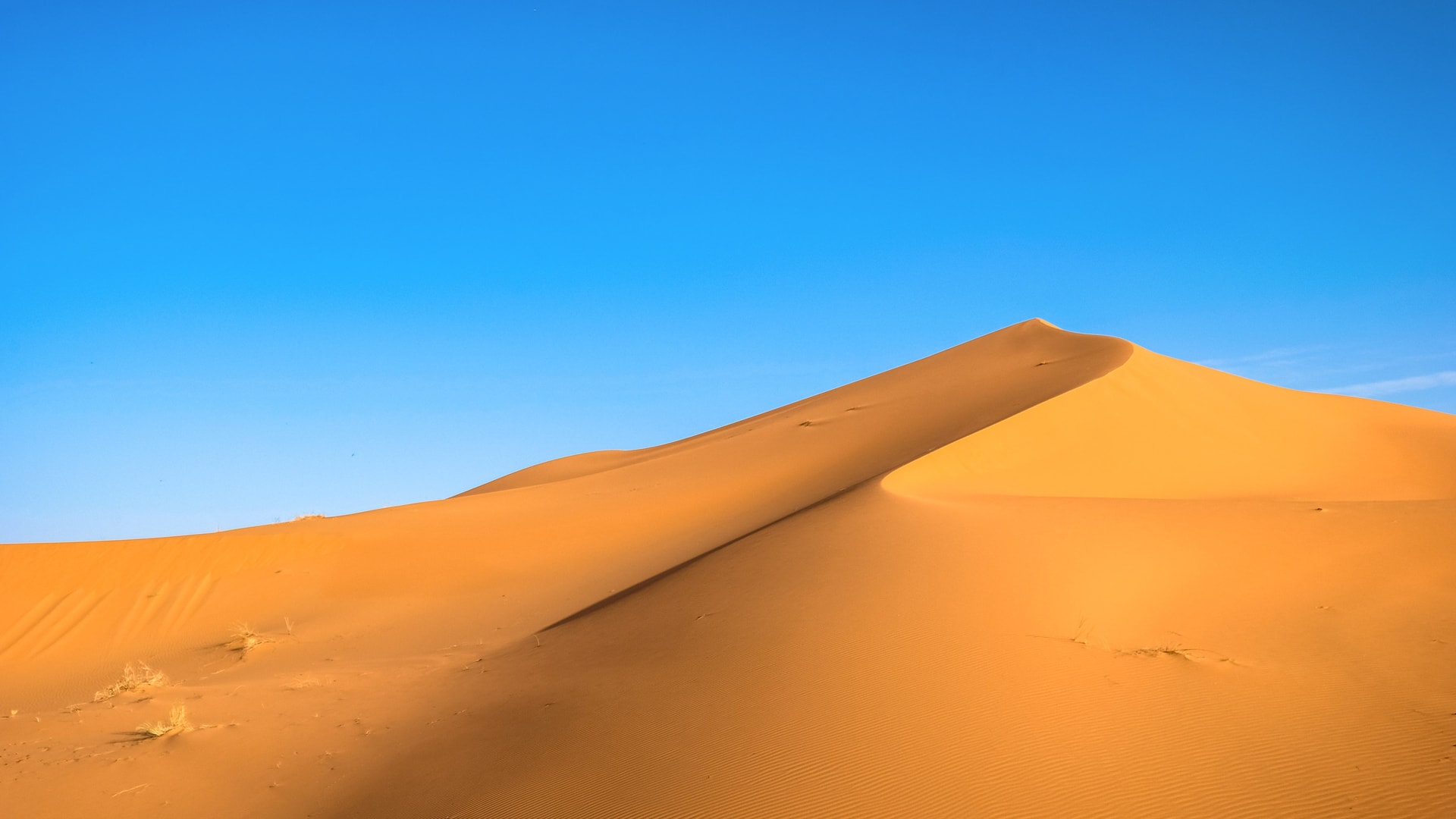蓝天下的金色沙漠沙山风景