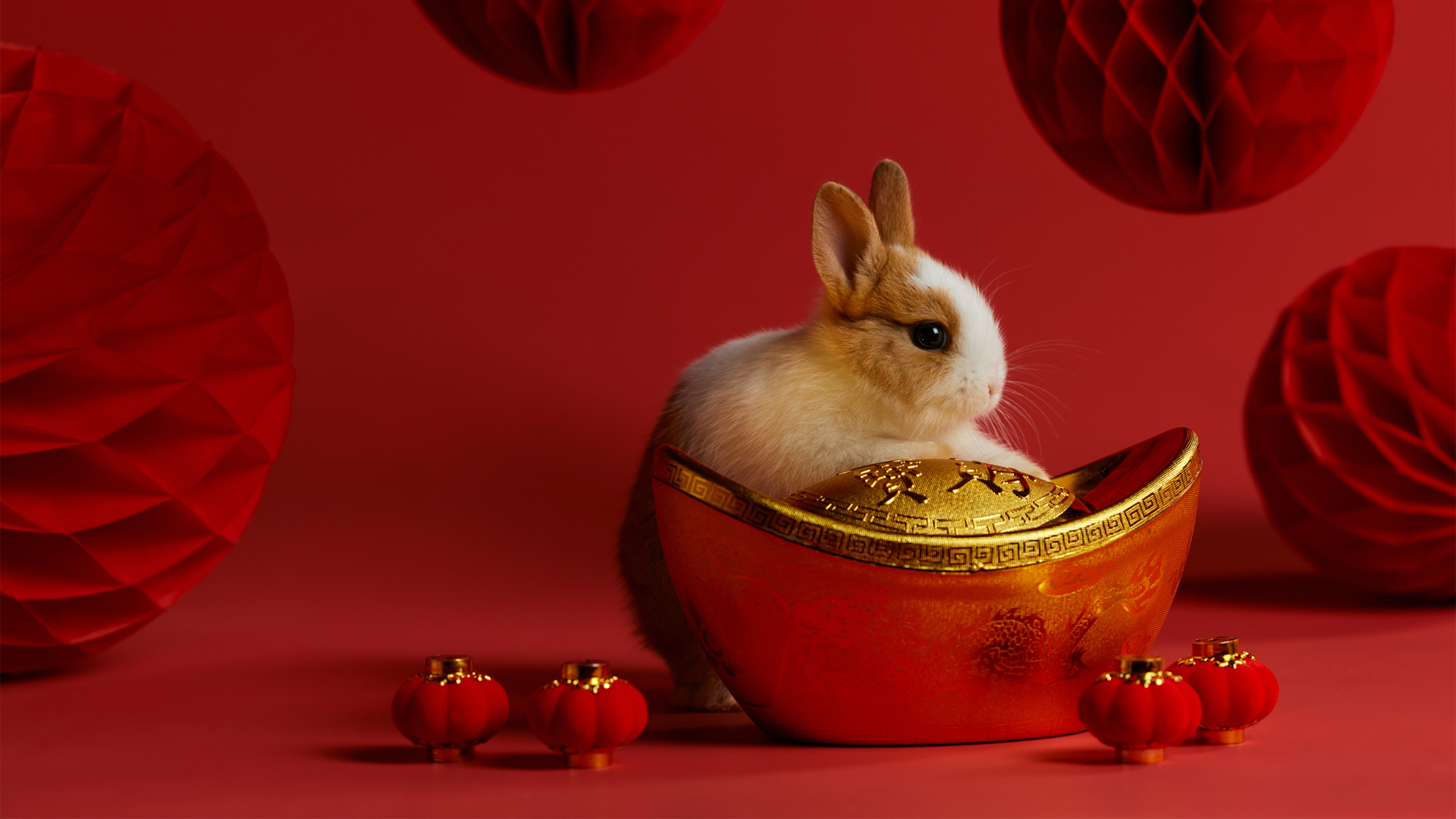兔子金元宝中国风红色喜庆过年壁纸
