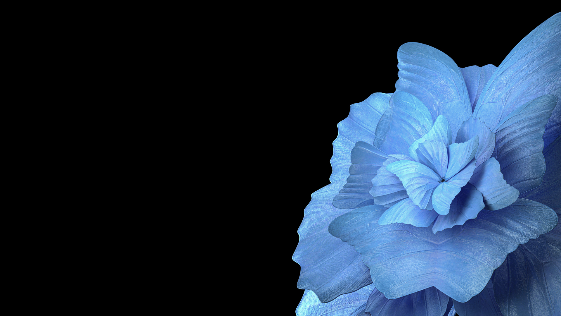 vivo Pad蓝色花瓣黑色背景平板电脑壁纸