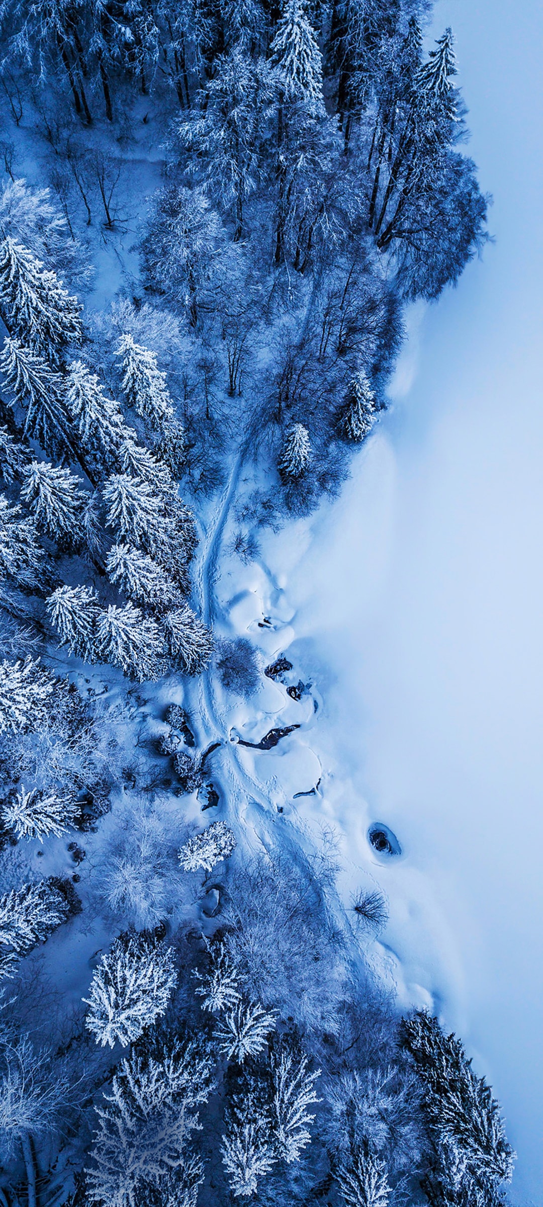 树林雪景组成冰雪世界鸟瞰风景