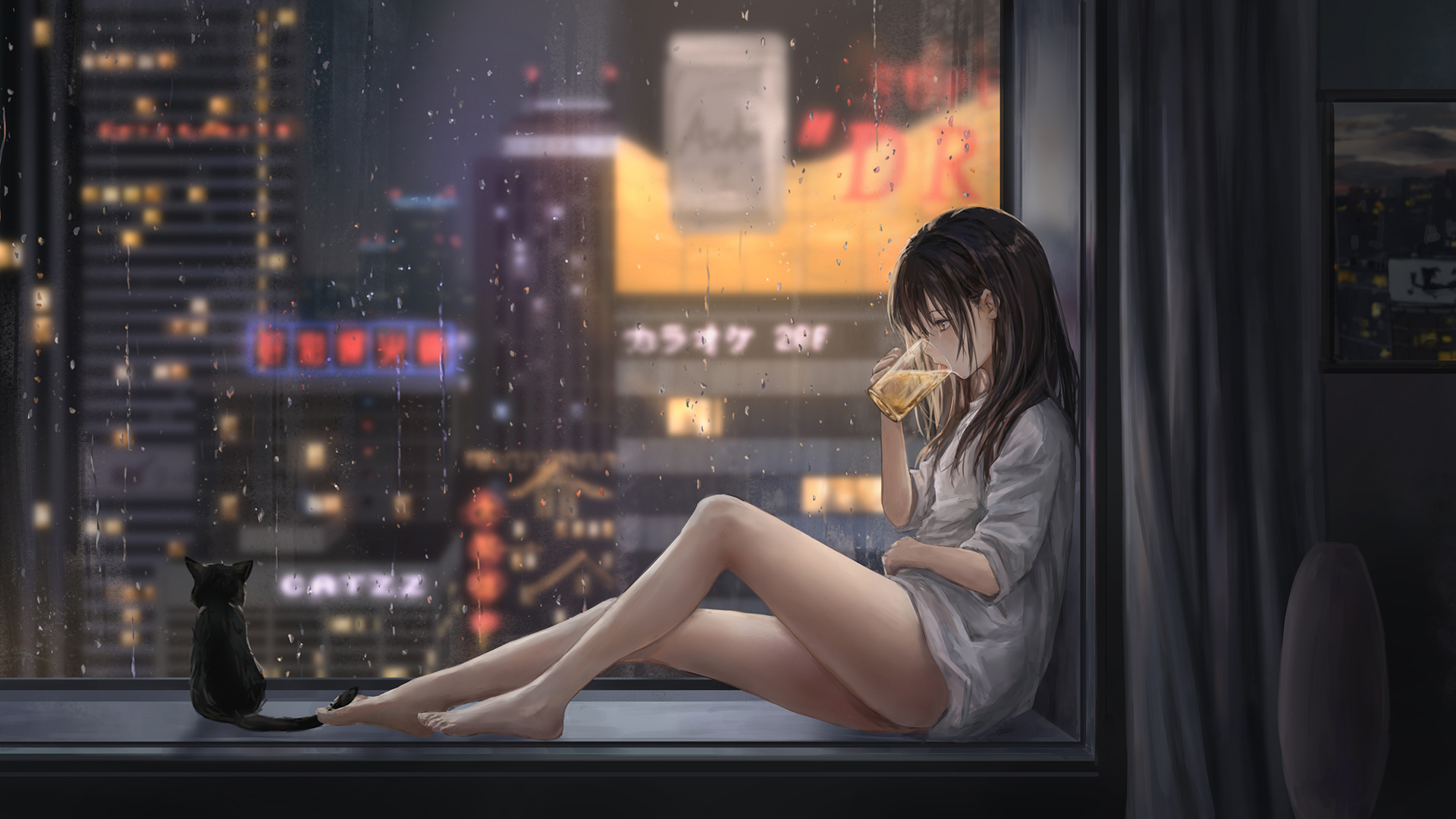 下雨天飘窗前女孩与猫动漫夜景