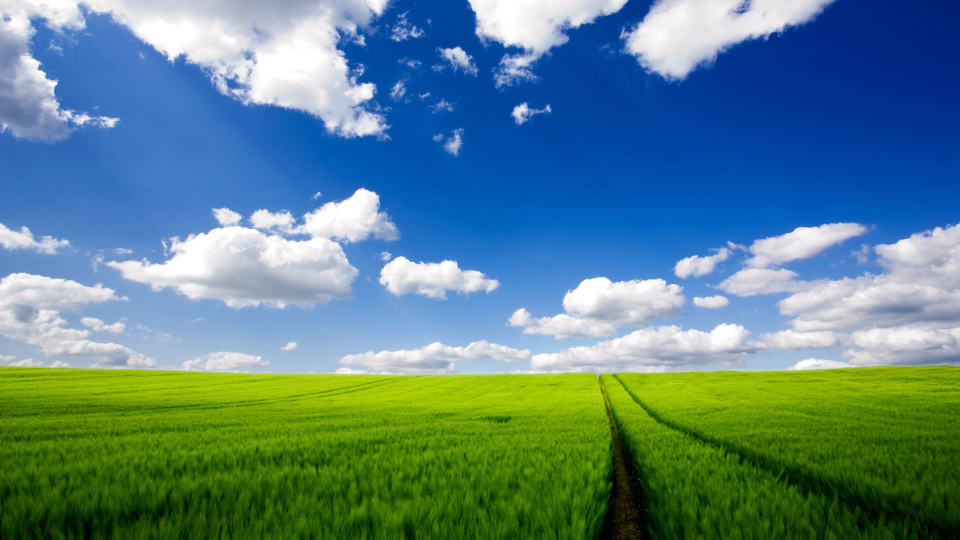蔚蓝天空下穿越绿色田野感受自然风光