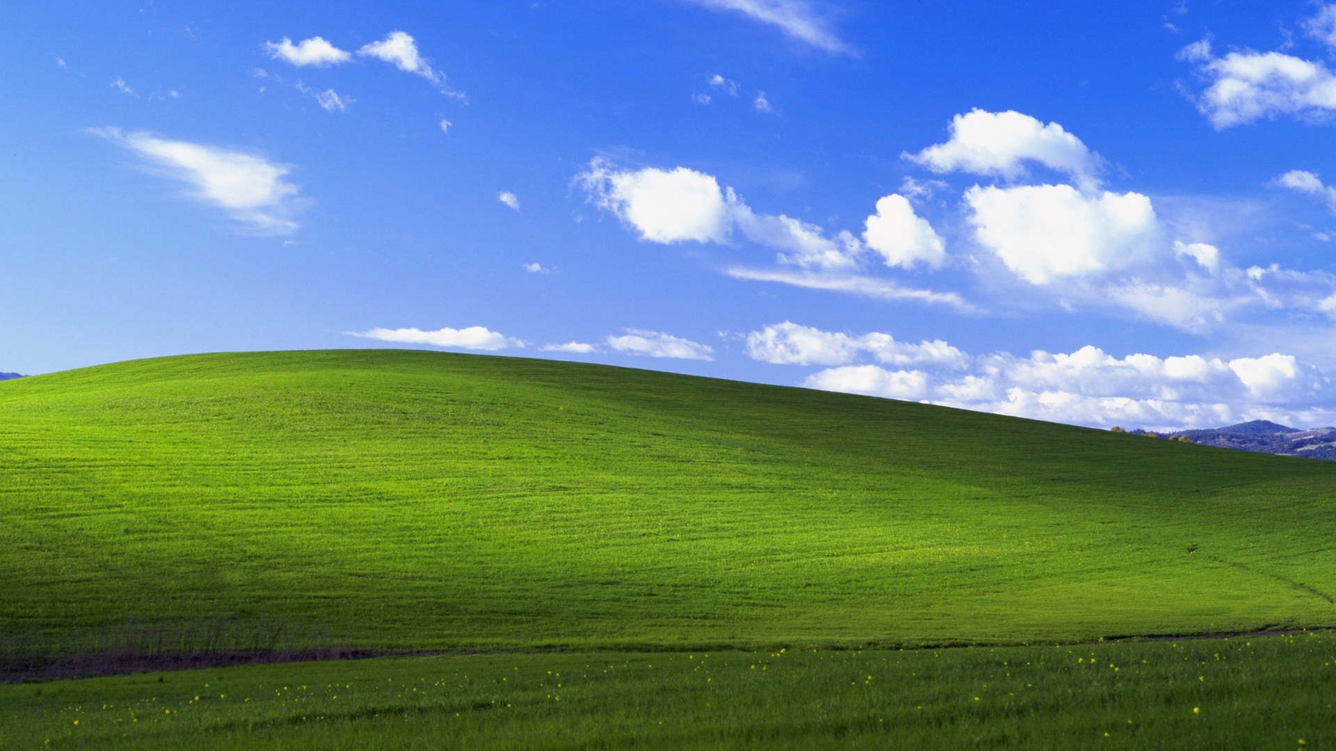 Windows XP 蓝天白云绿草地