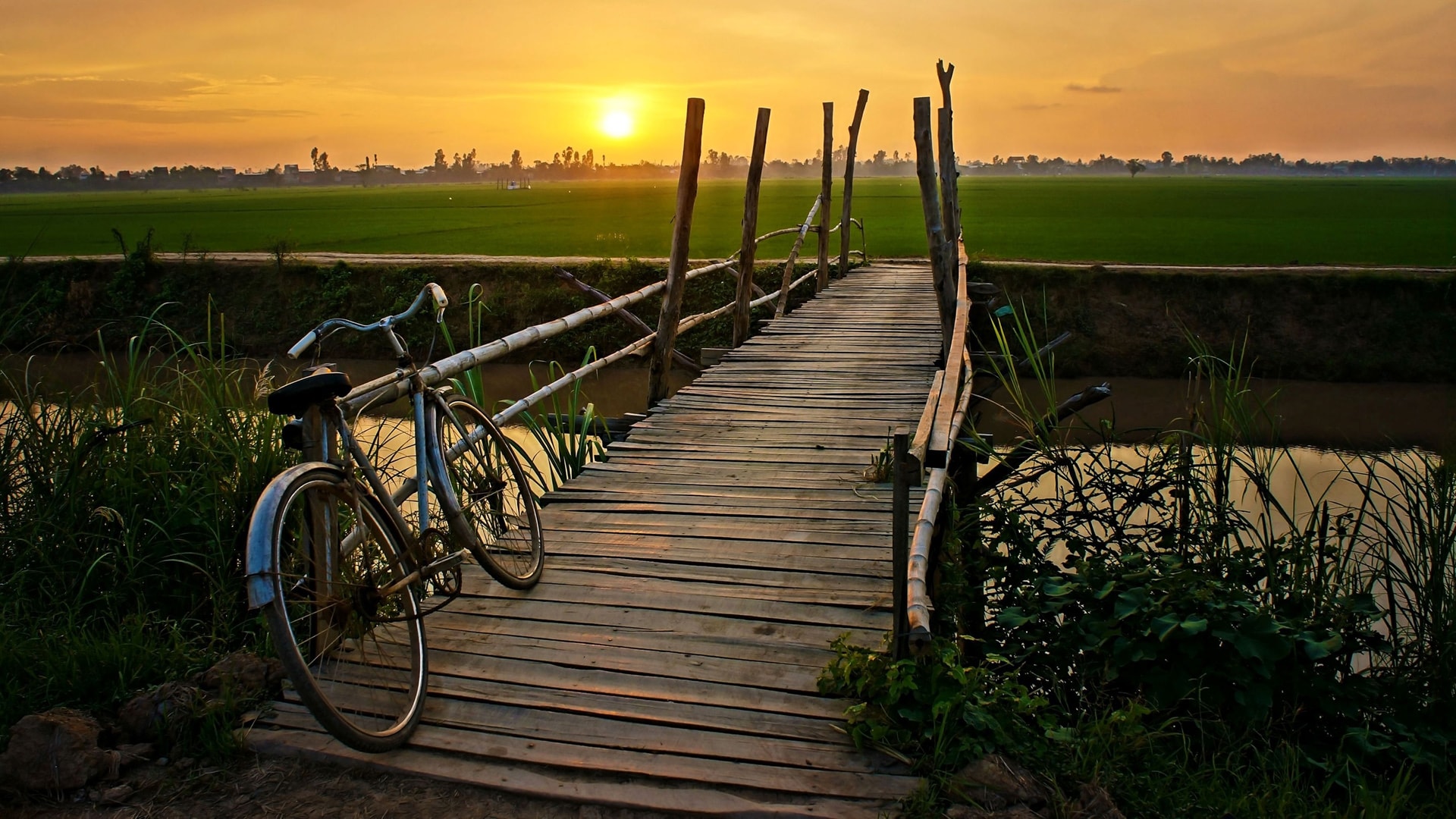桥梁与自行车